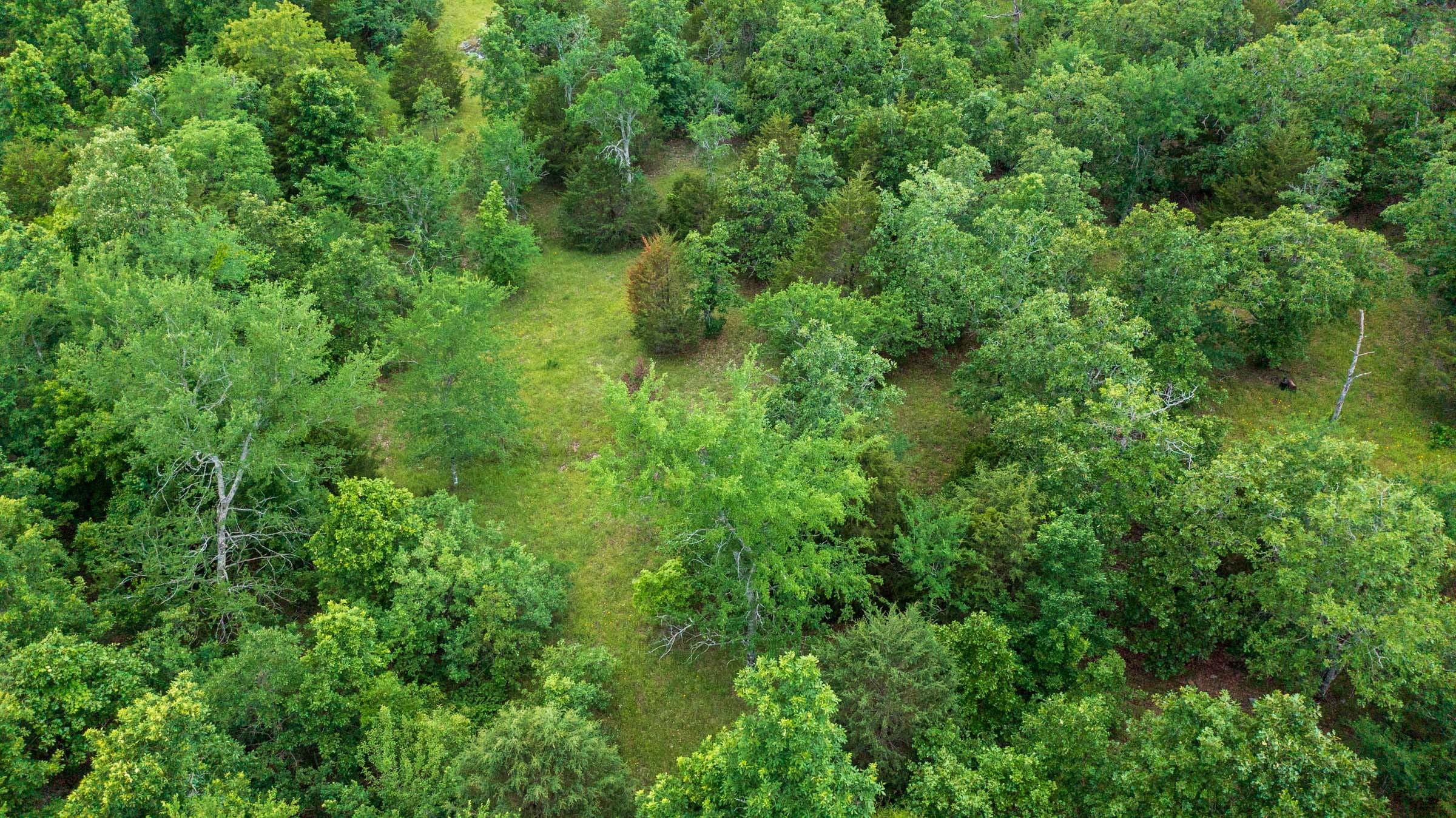 Falcon Crest Tract 19 photo 4