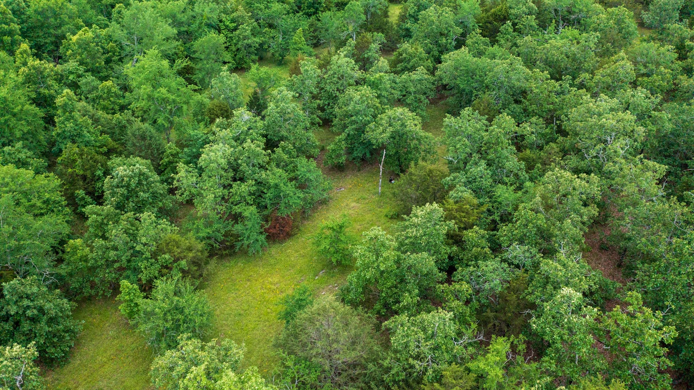 Falcon Crest Tract 19 photo 6