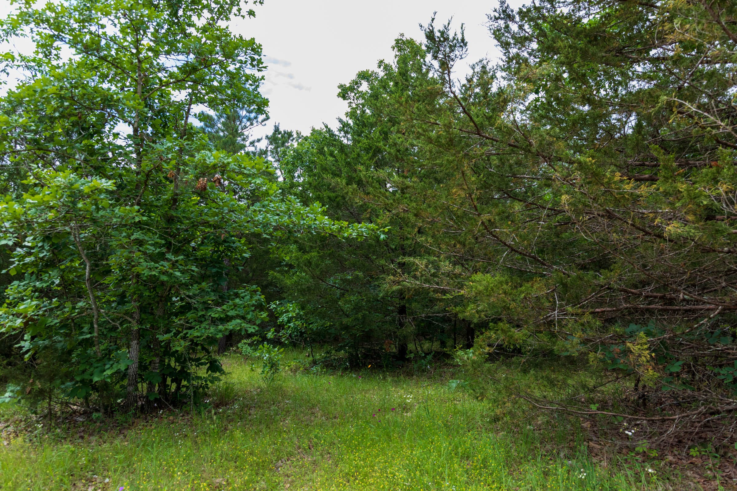 Falcon Crest Tract 19 photo 8