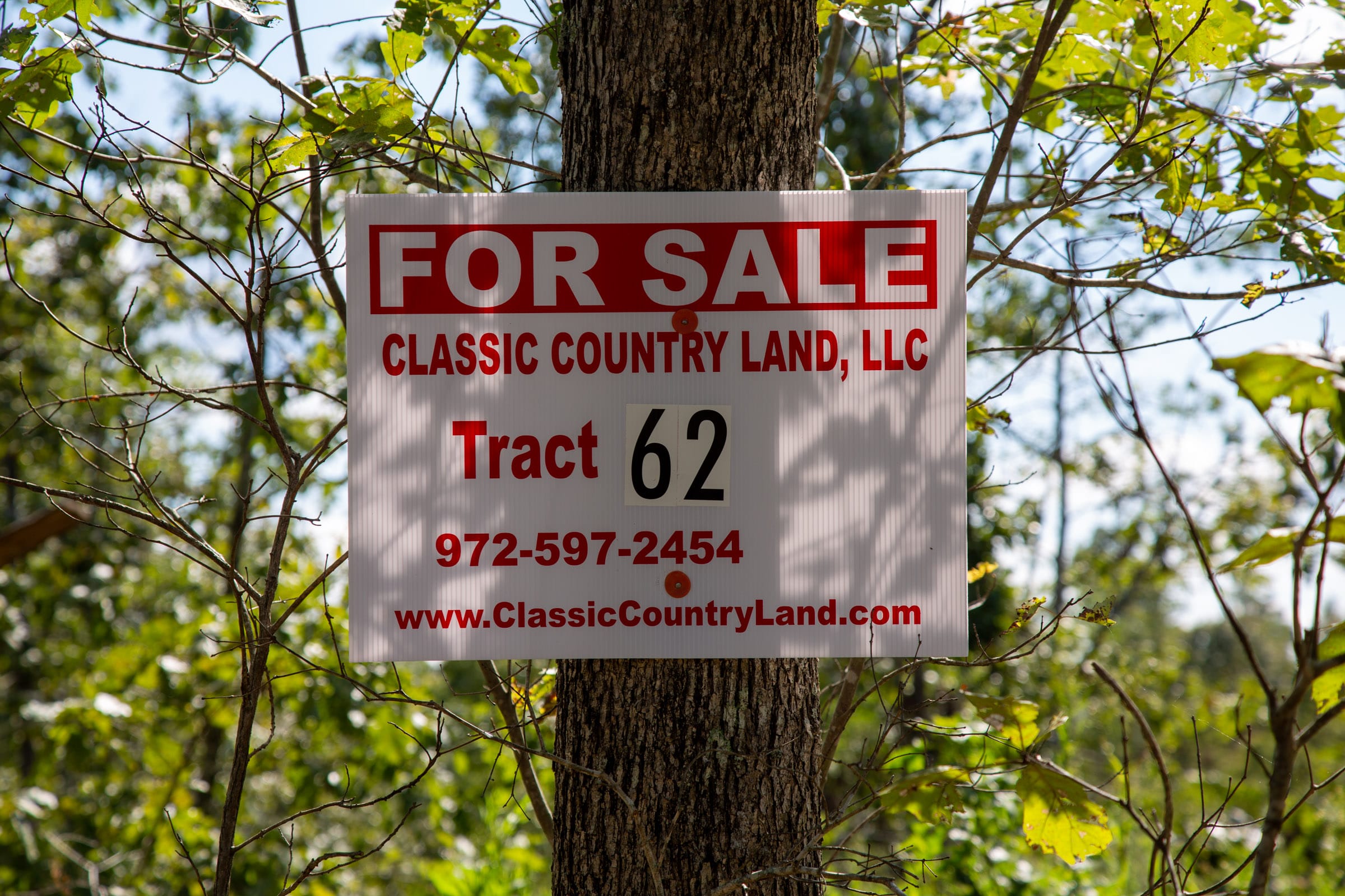 Borgmann’s Hollow Phase II Tract 62 photo 1
