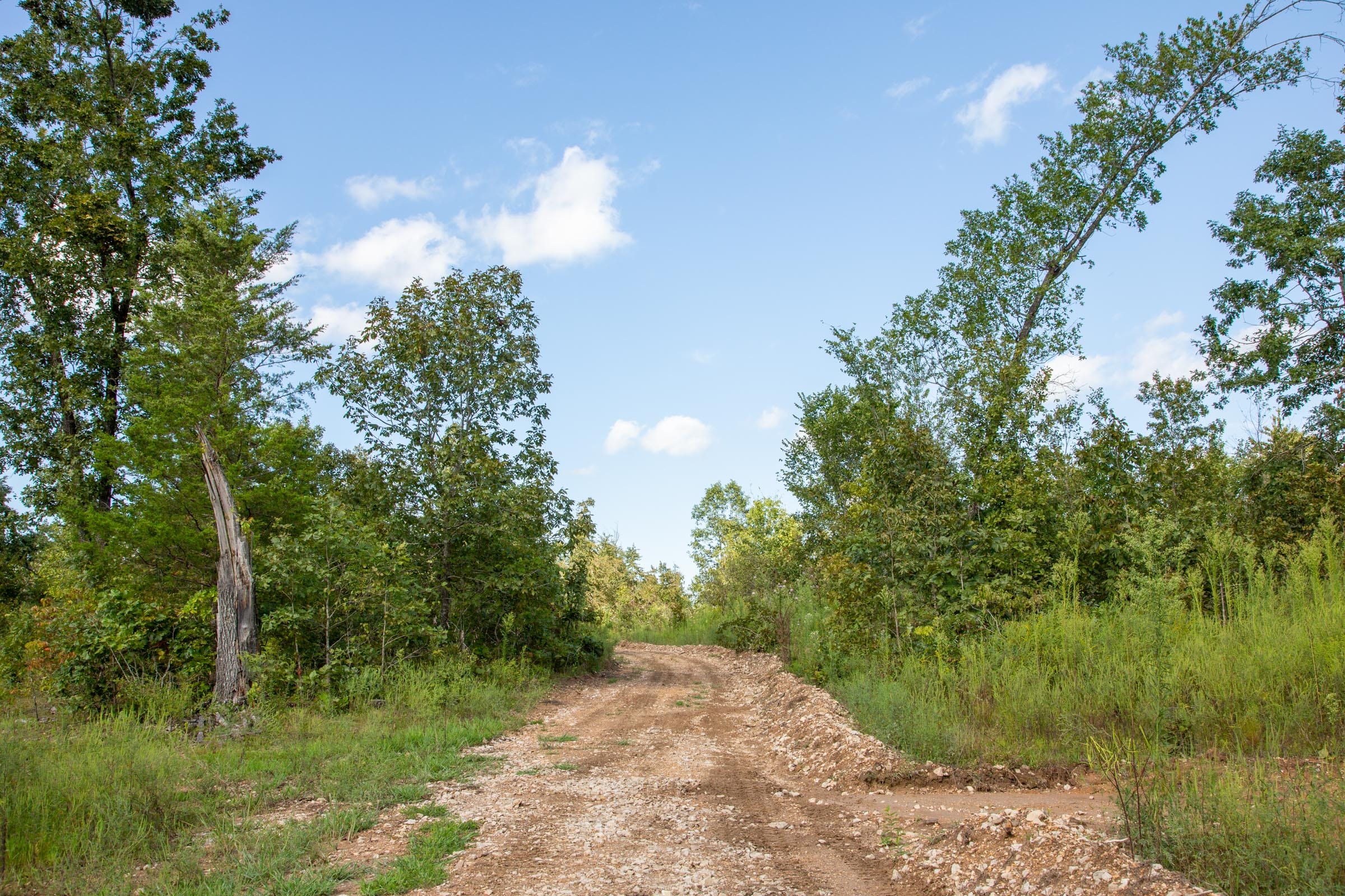 Borgmann’s Hollow Phase II Tract 62 photo 2
