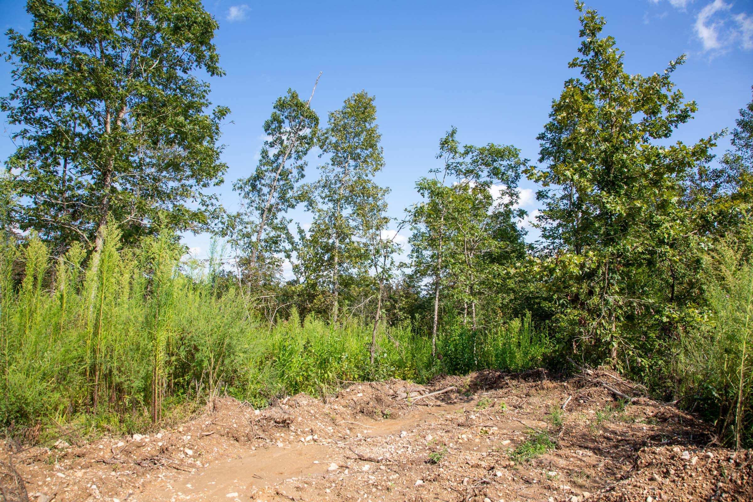 Borgmann’s Hollow Phase II Tract 62 photo 6
