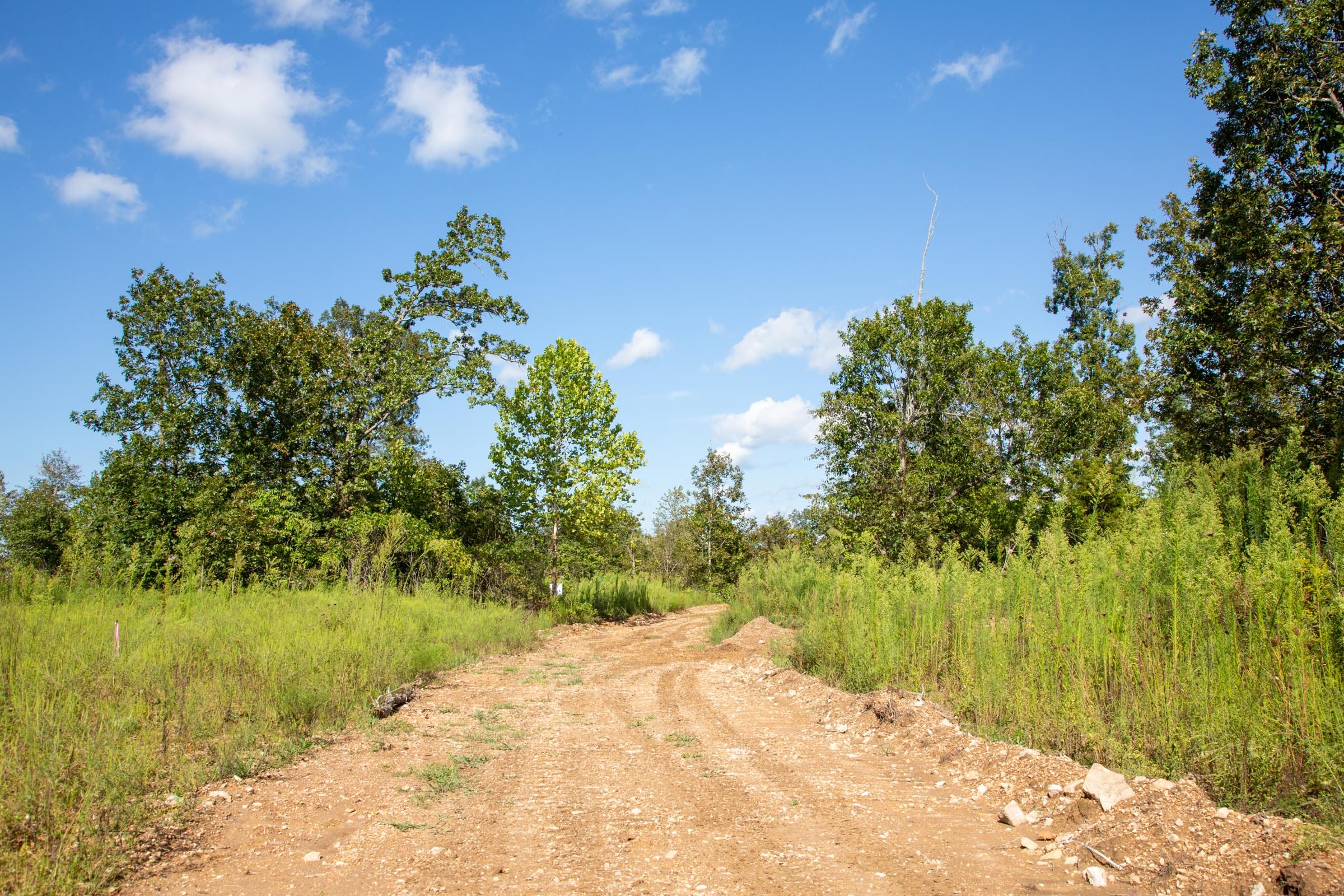 Borgmann’s Hollow Phase II Tract 62 photo 9