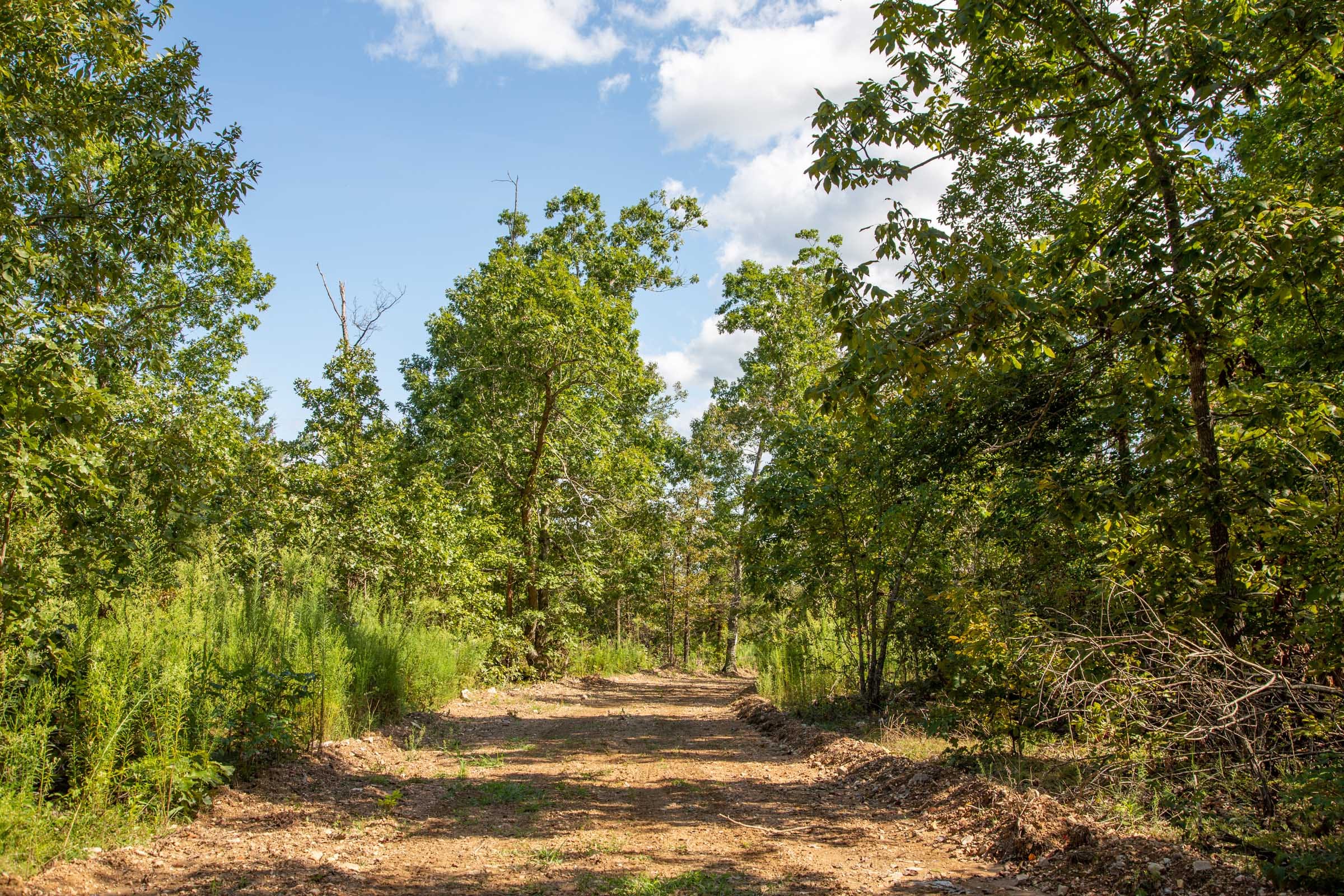 Borgmann’s Hollow Phase II Tract 62 photo 10