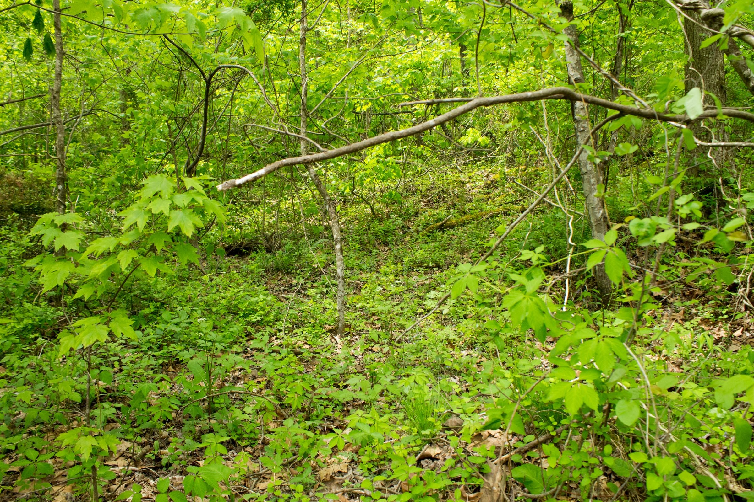 Trails End Tract 14 photo 4