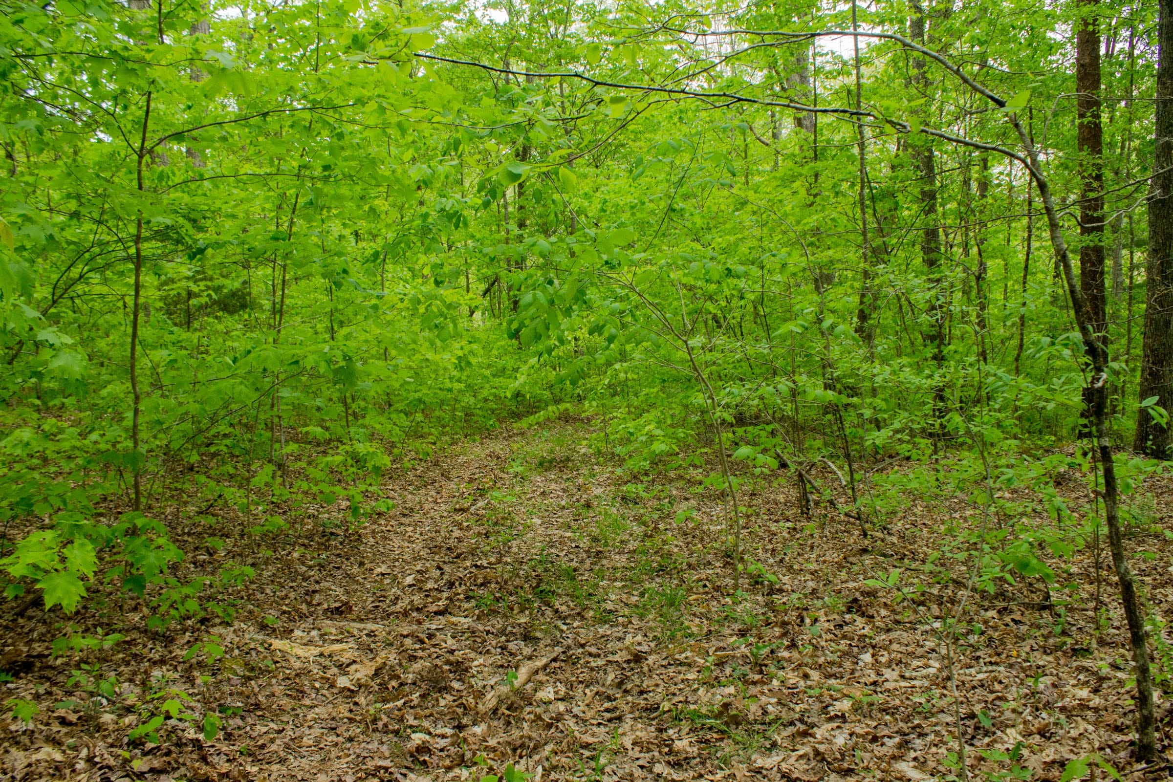 Trails End Tract 14 photo 7