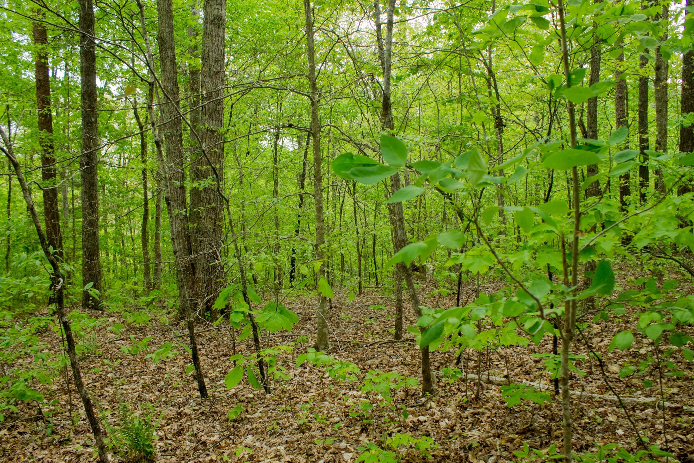 Trails End Tract 14 photo 8