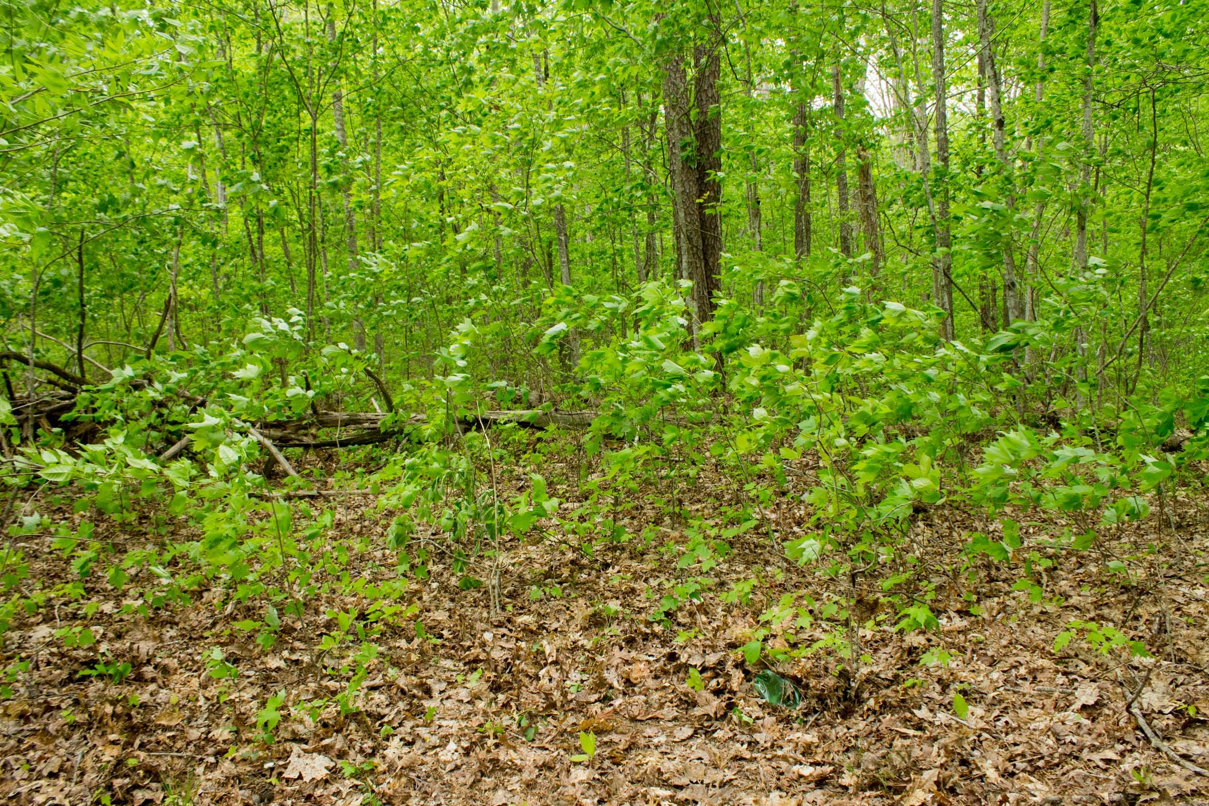 Trails End Tract 14 photo 13