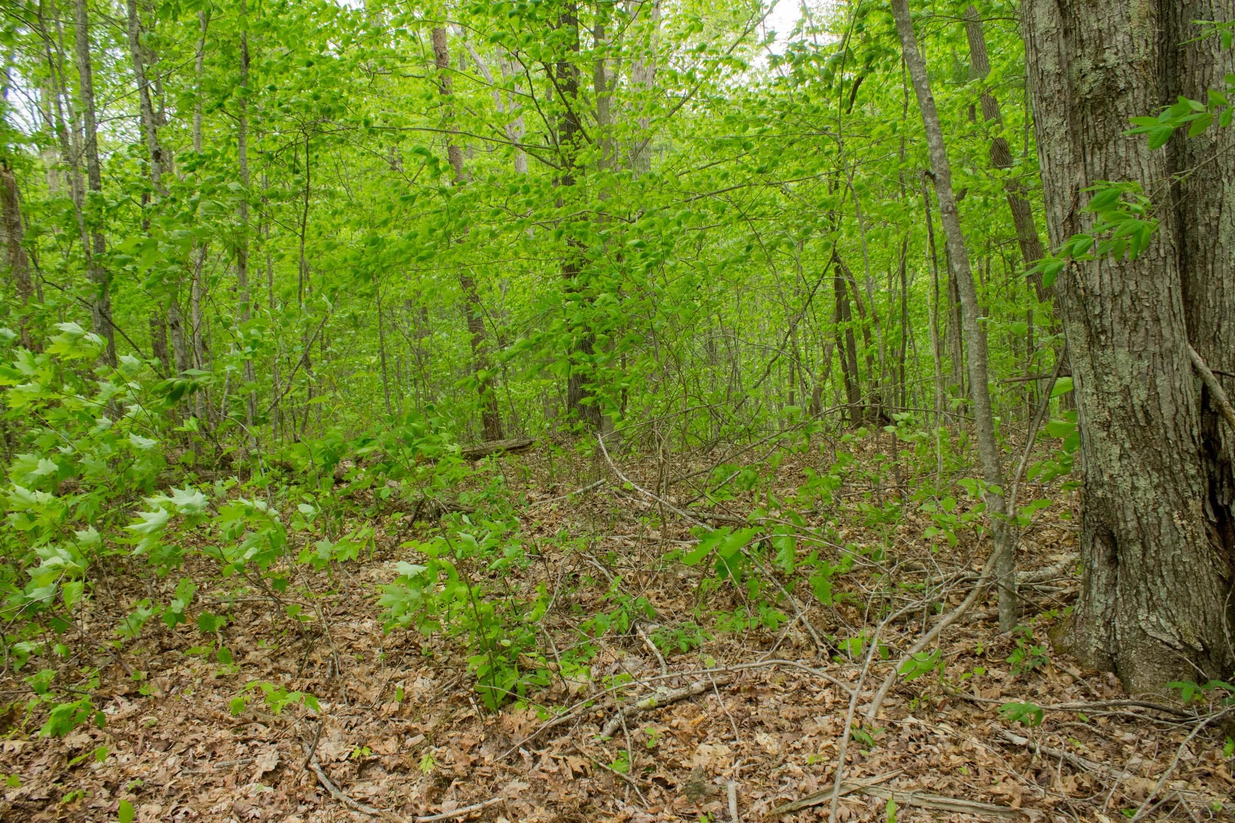 Trails End Tract 14 photo 14