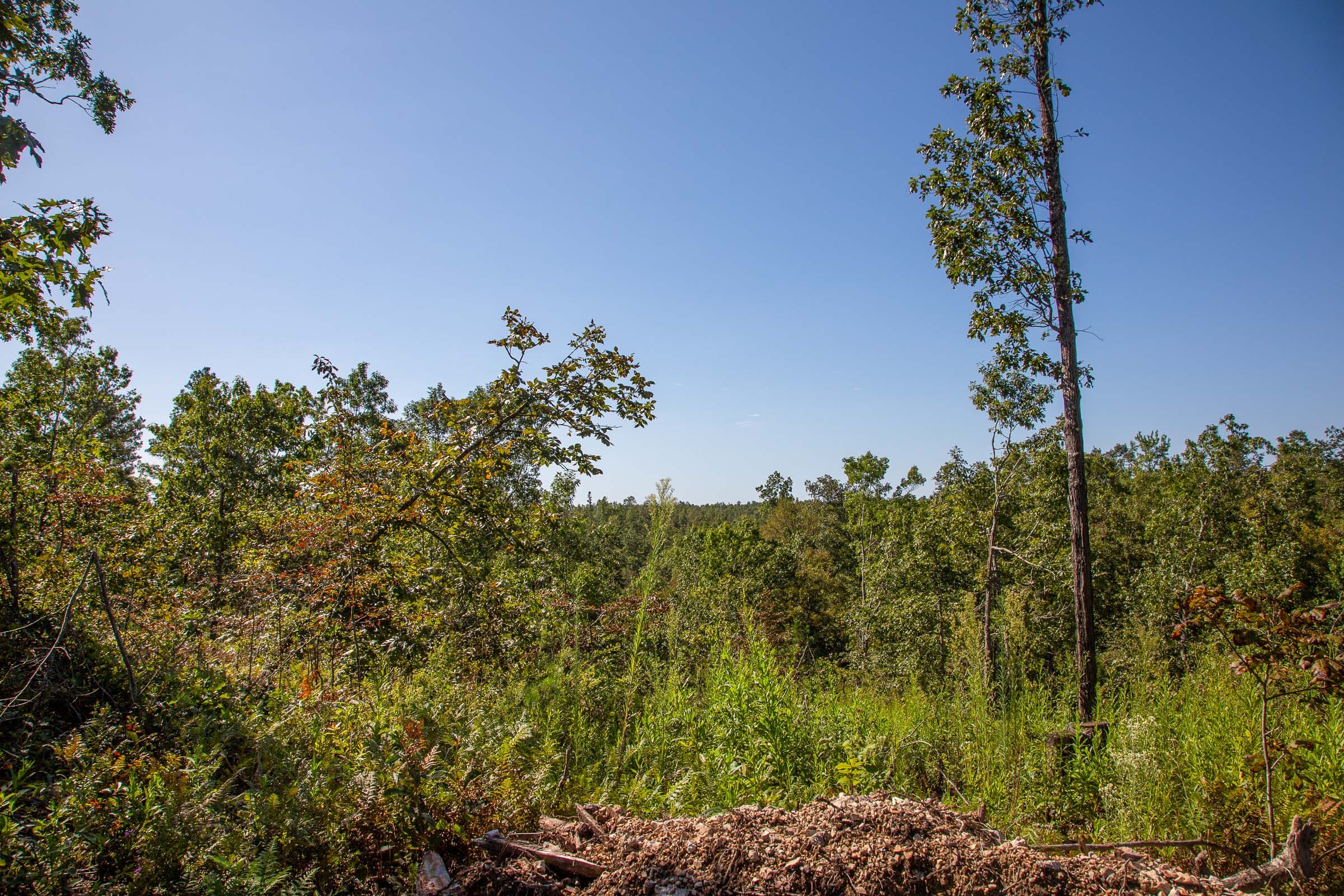 Borgmann’s Hollow Phase II Tract 50 photo 1