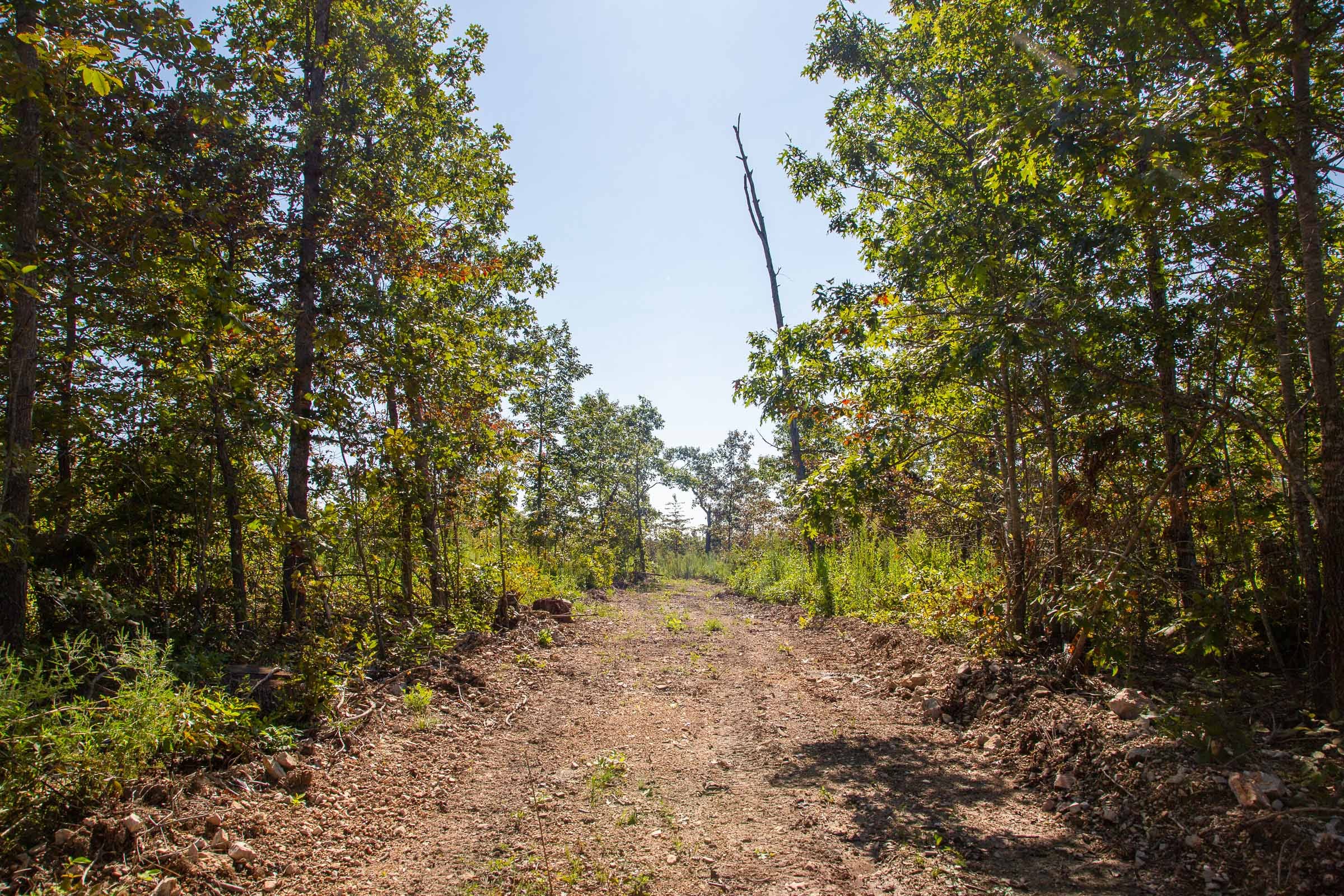 Borgmann’s Hollow Phase II Tract 50 photo 3