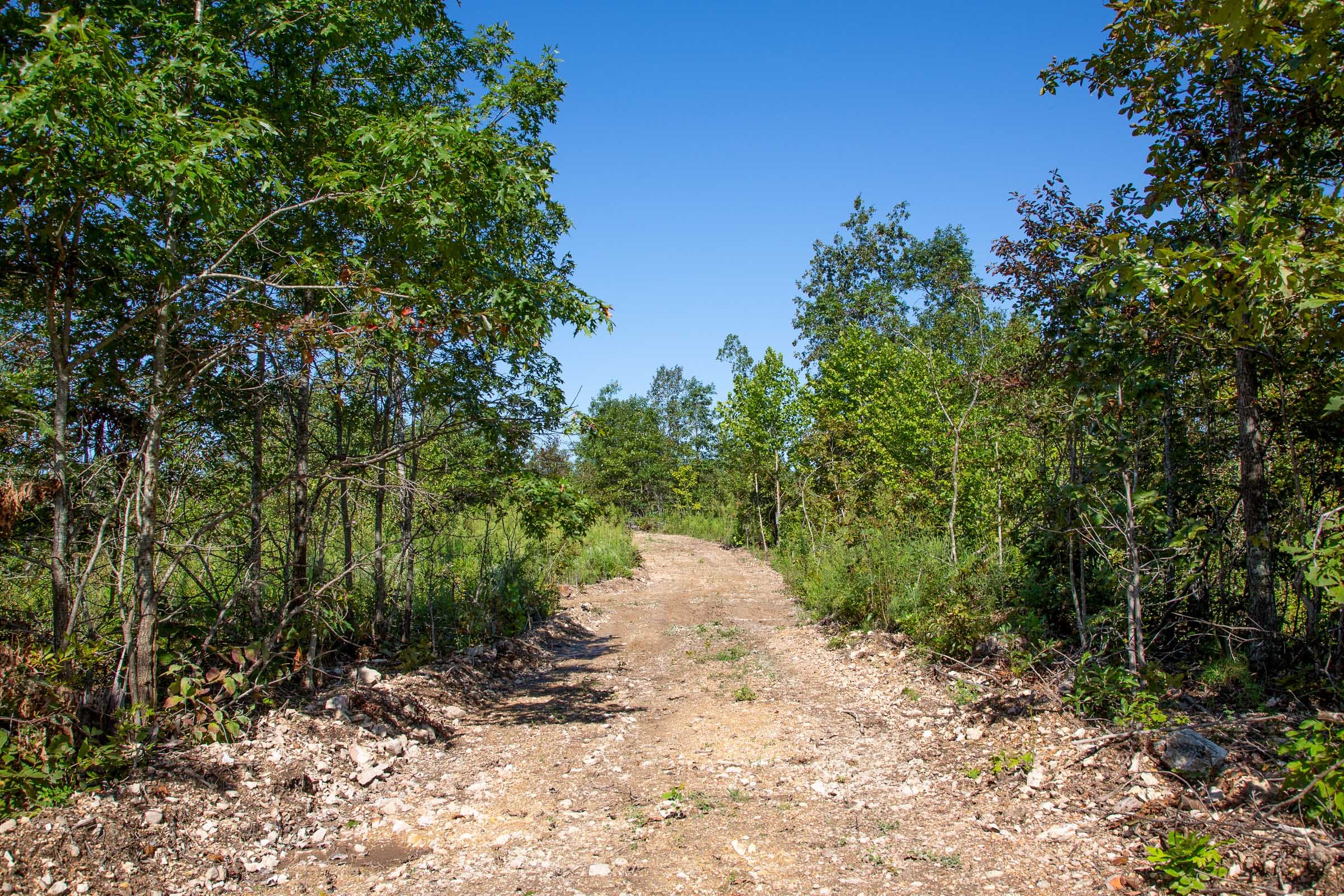 Borgmann’s Hollow Phase II Tract 50 photo 10