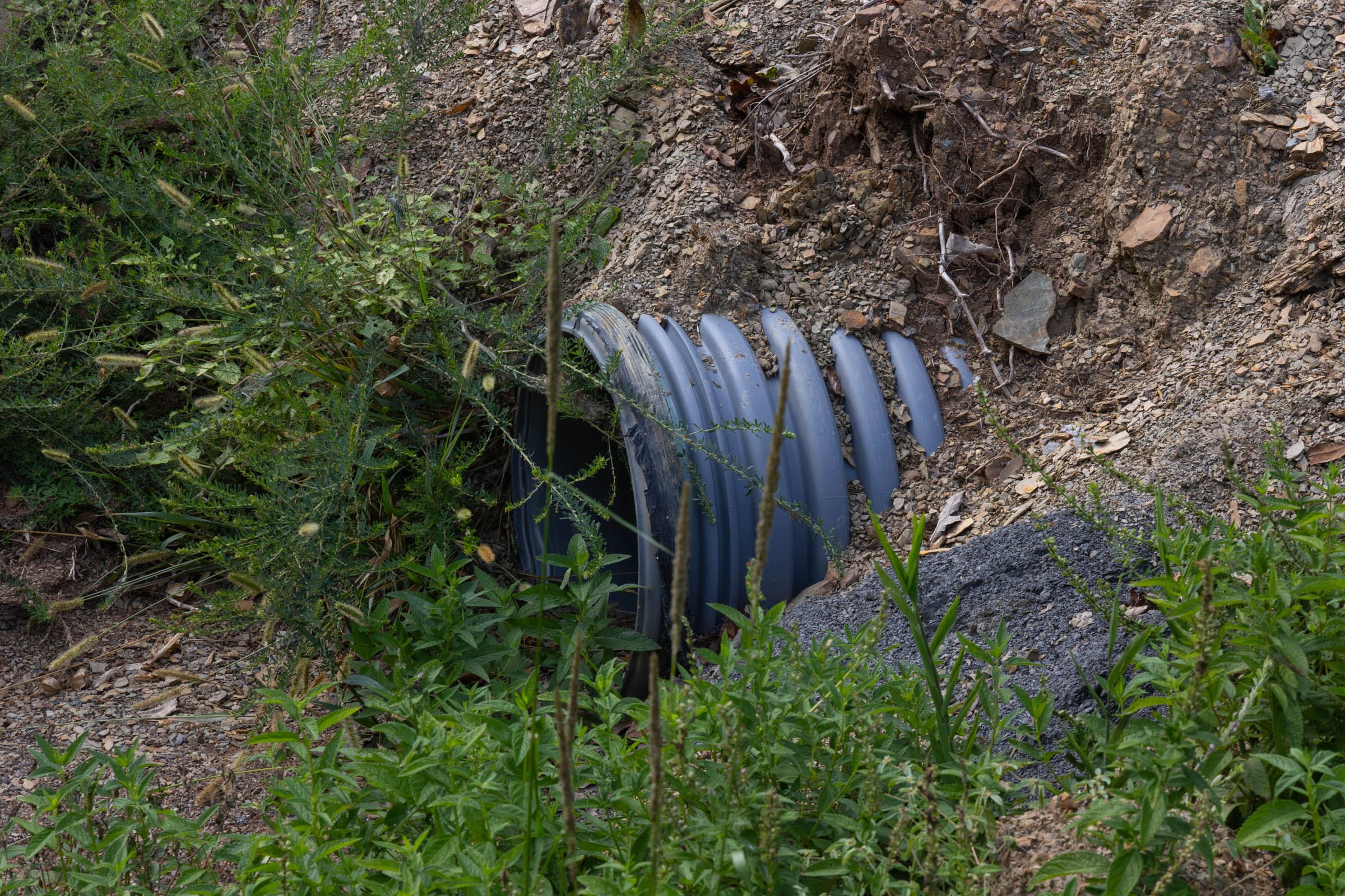 Reserves At Cattail Cove Phase II Tract 44 photo 9