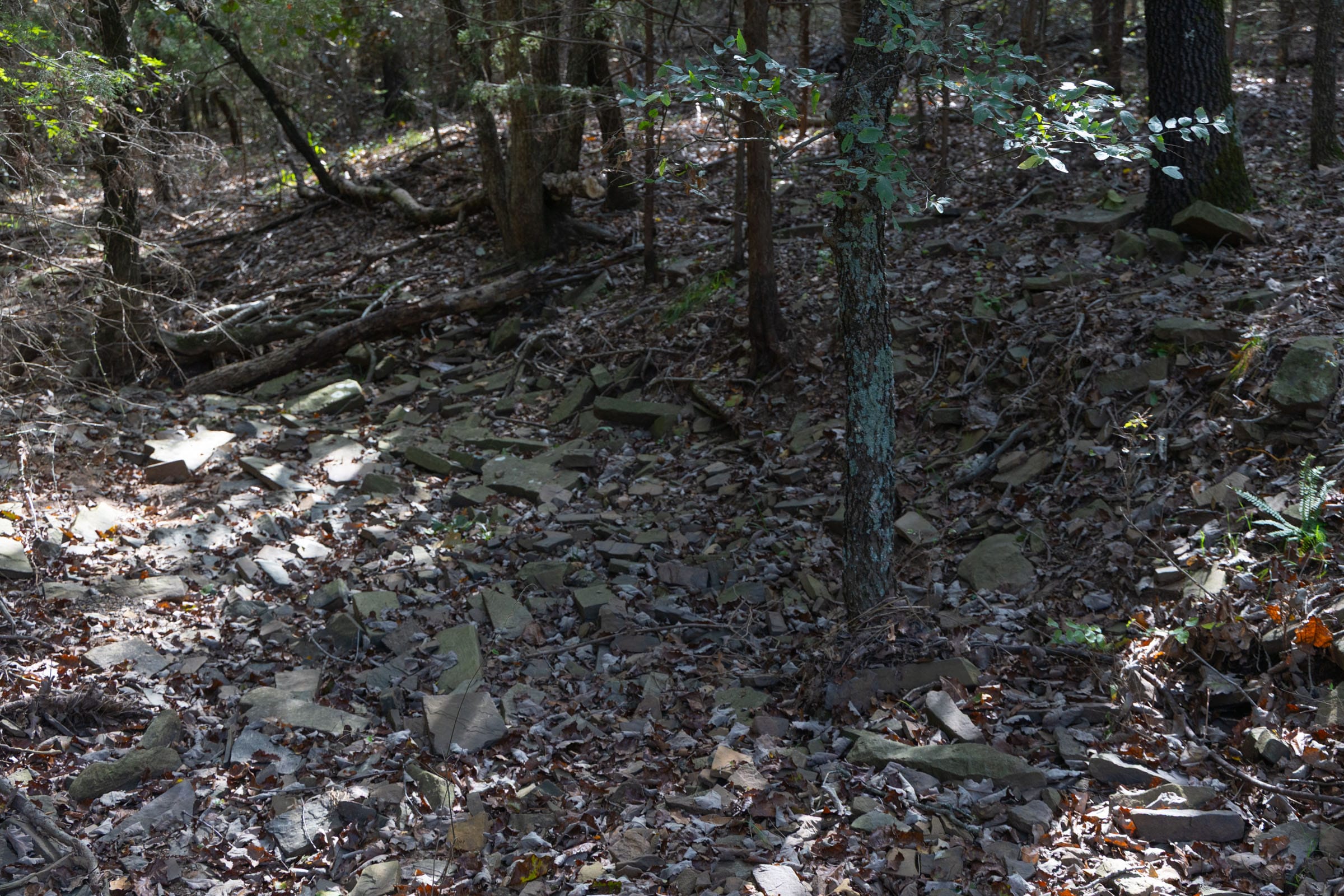 Reserves At Cattail Cove Phase II Tract 44 photo 3