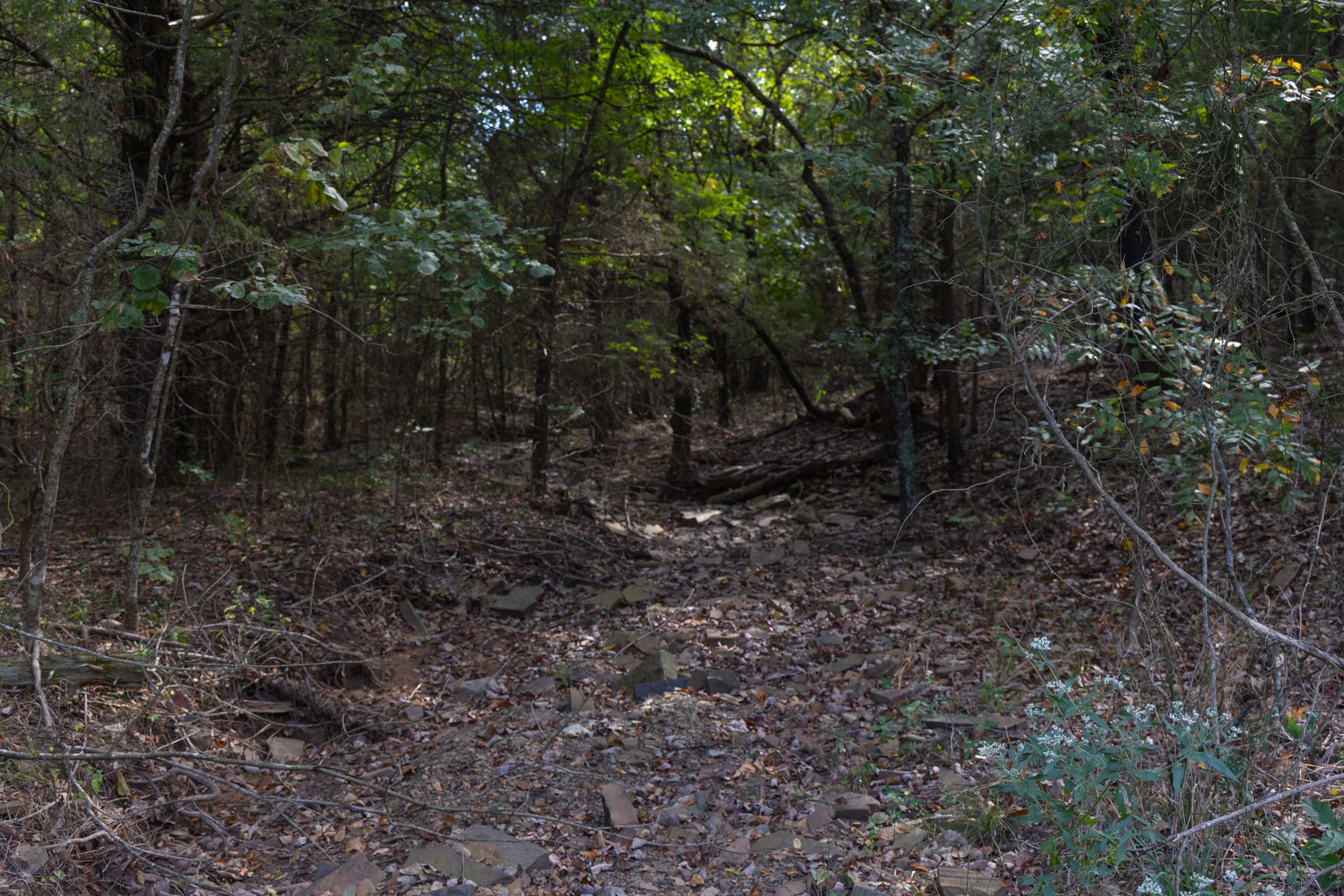 Reserves At Cattail Cove Phase II Tract 44 photo 5