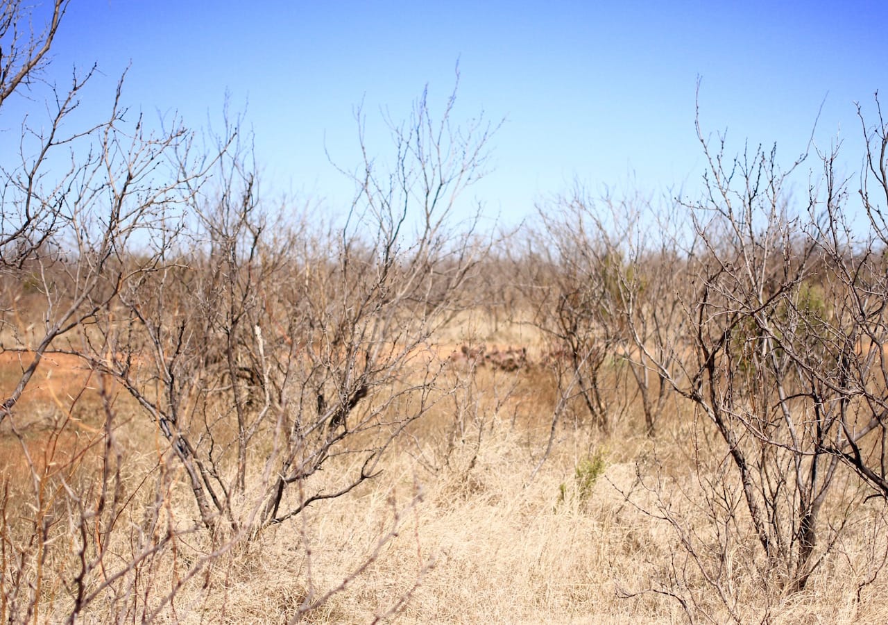 Red Rock Ranch Tract 1 photo 4