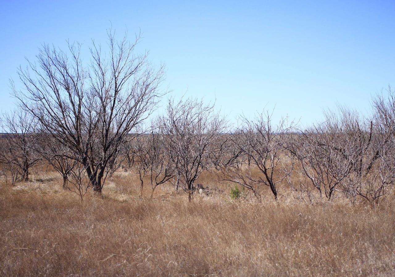 Red Rock Ranch Tract 1 photo 9