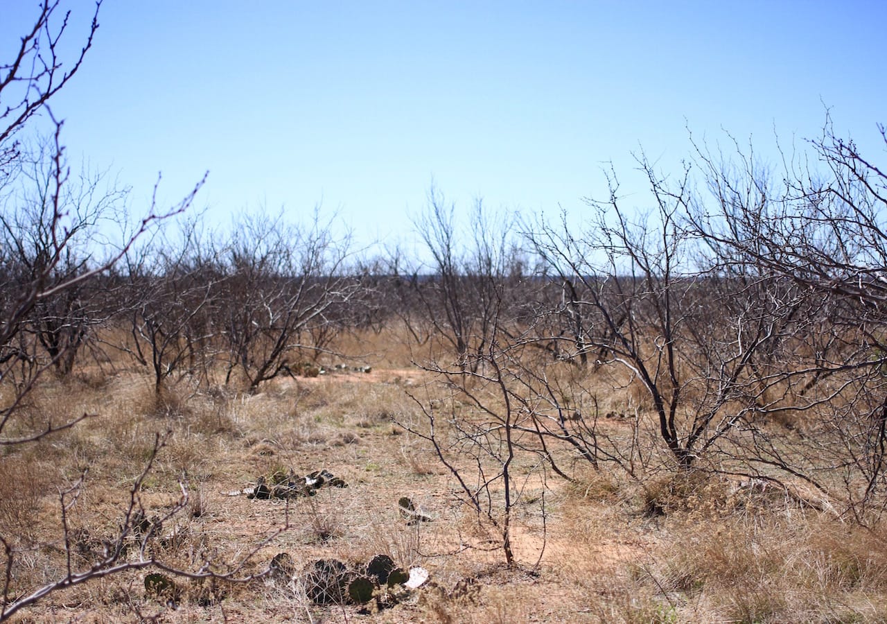 Red Rock Ranch Tract 1 photo 11