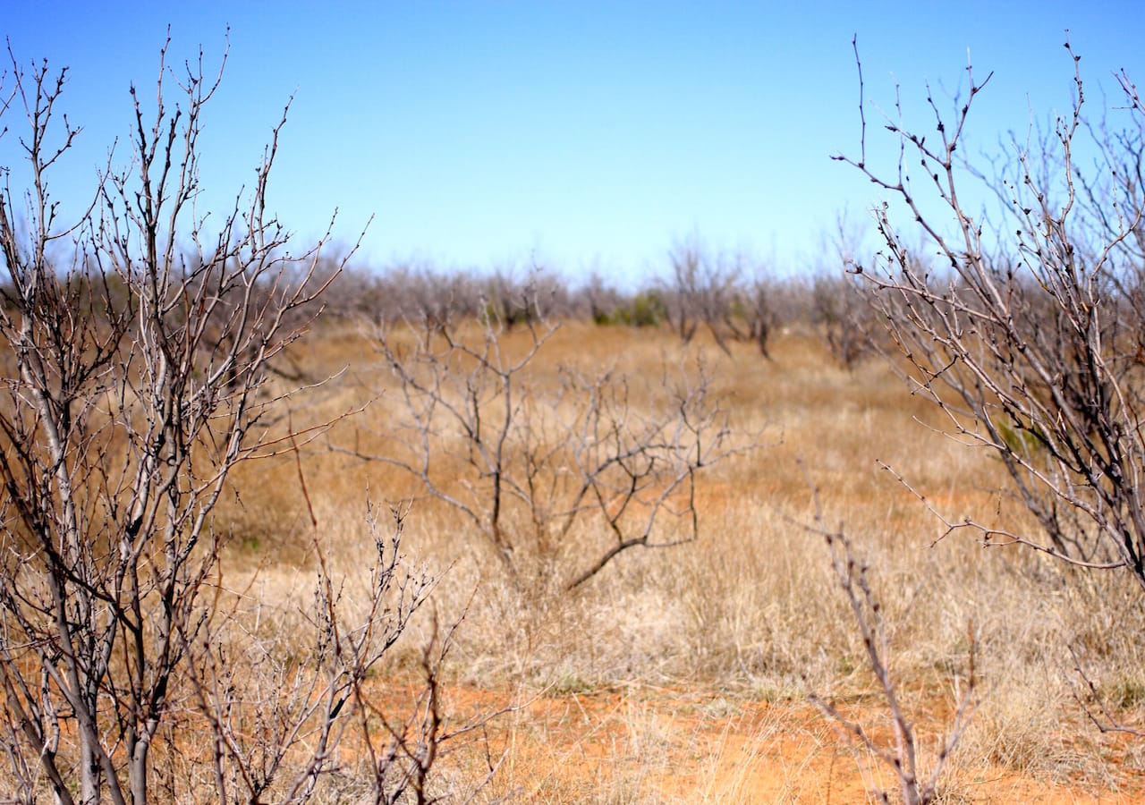 Red Rock Ranch Tract 1 photo 13