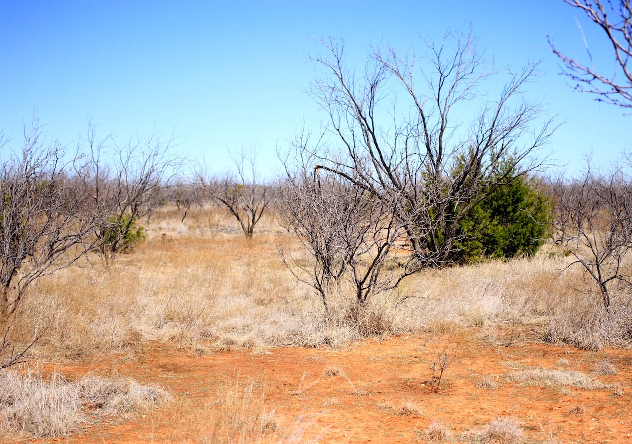 Red Rock Ranch Tract 1 photo 14