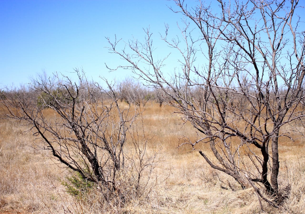 Red Rock Ranch Tract 1 photo 15