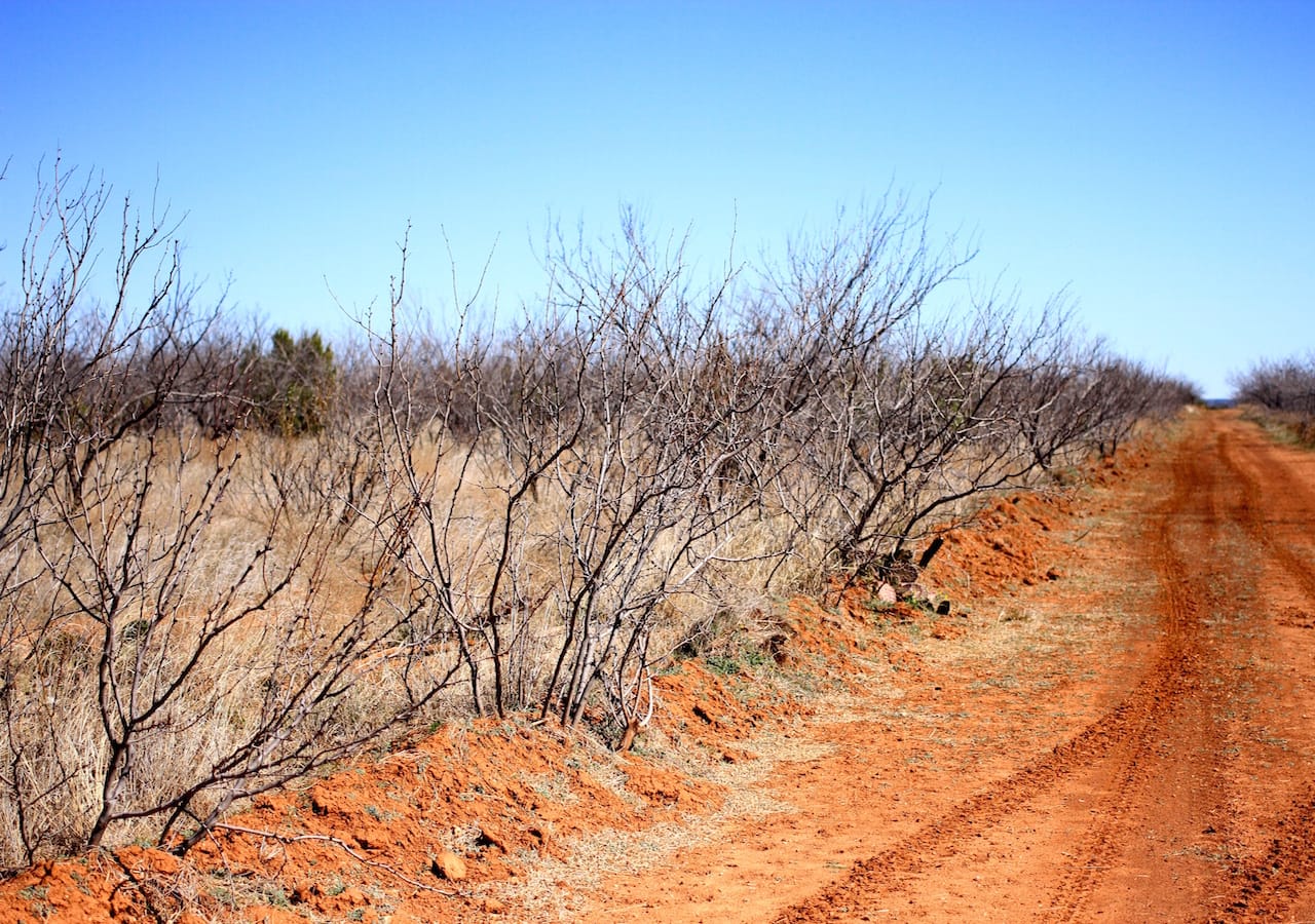 Red Rock Ranch Tract 1 photo 16