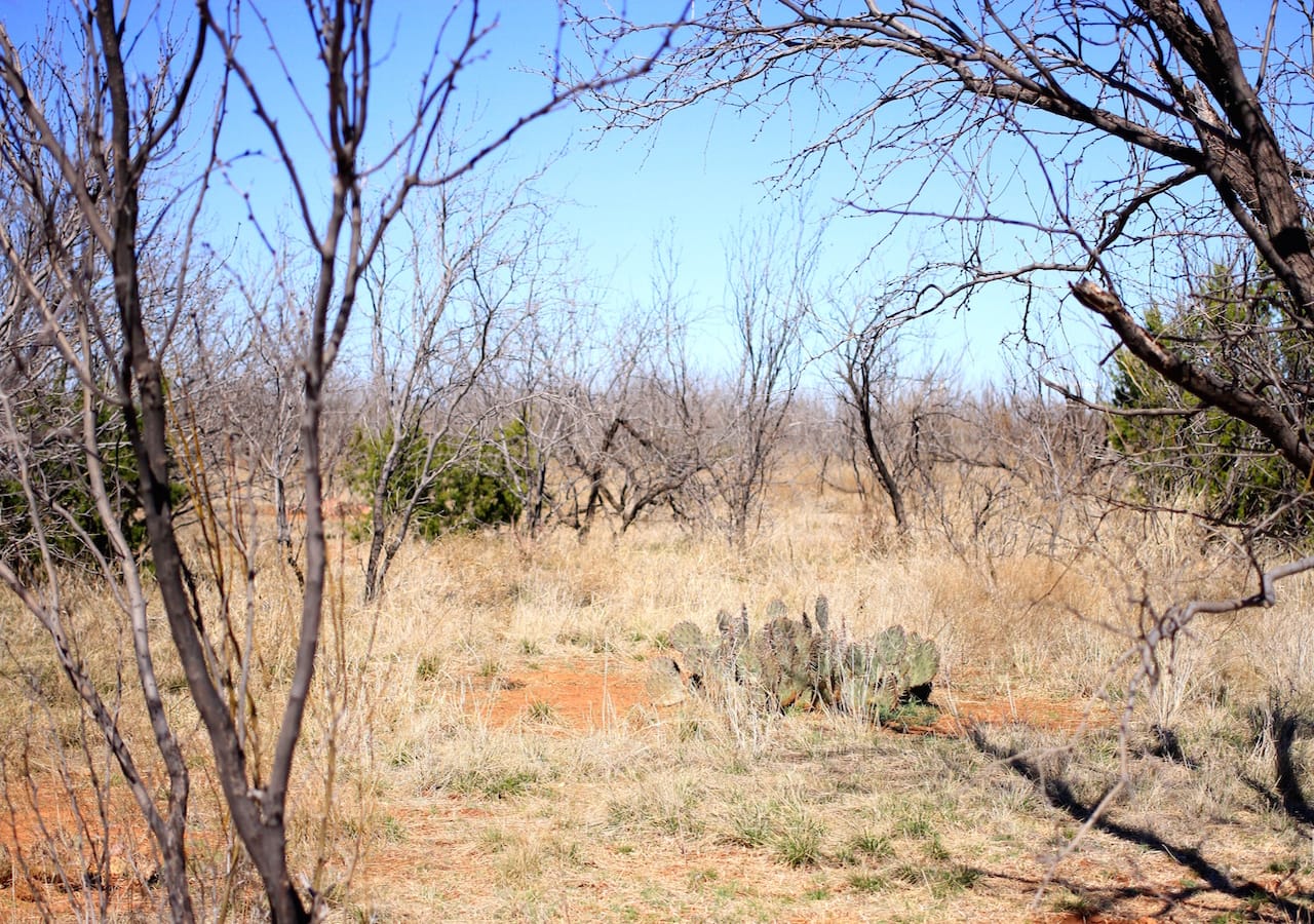 Red Rock Ranch Tract 1 photo 19