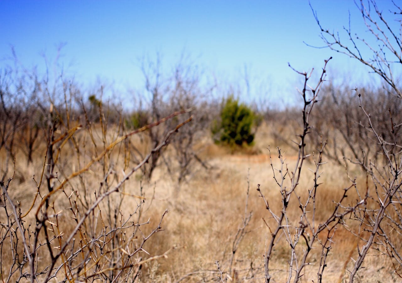 Red Rock Ranch Tract 1 photo 22