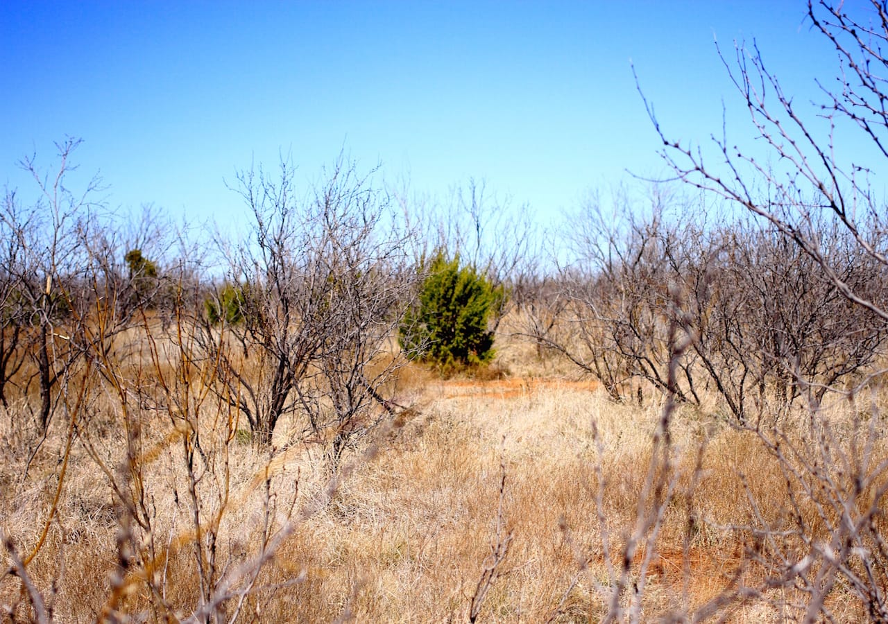 Red Rock Ranch Tract 1 photo 23