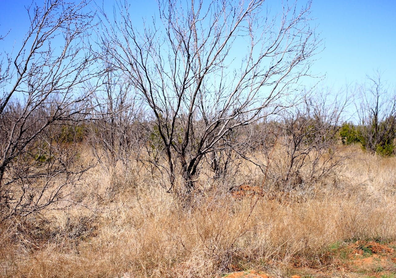 Red Rock Ranch Tract 1 photo 24