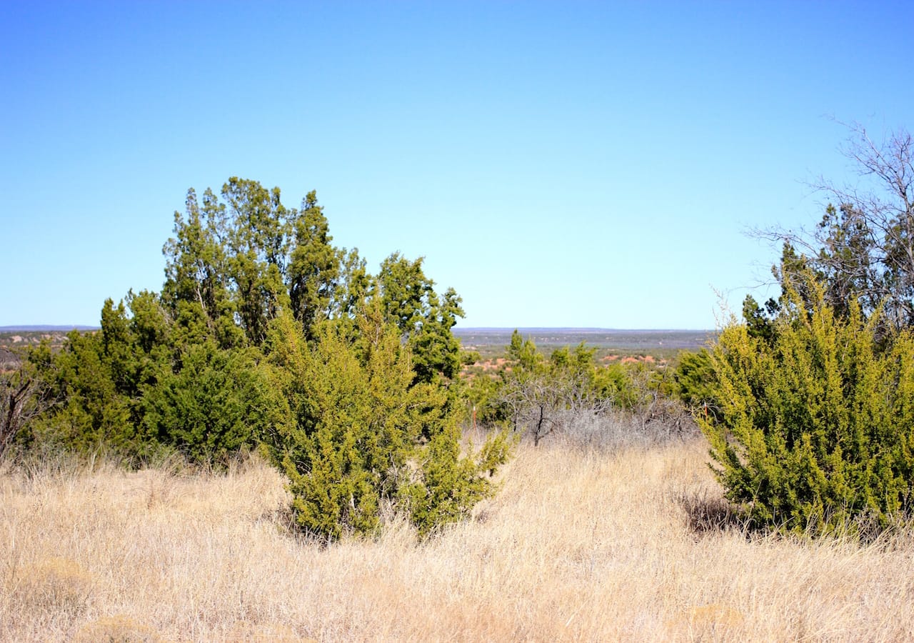 Red Rock Ranch Tract 1 photo 31