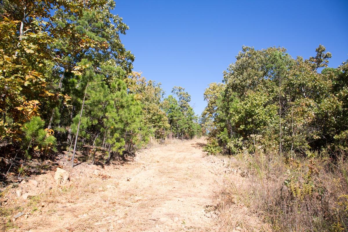 Stone Creek Phase I Tract 165 photo 2