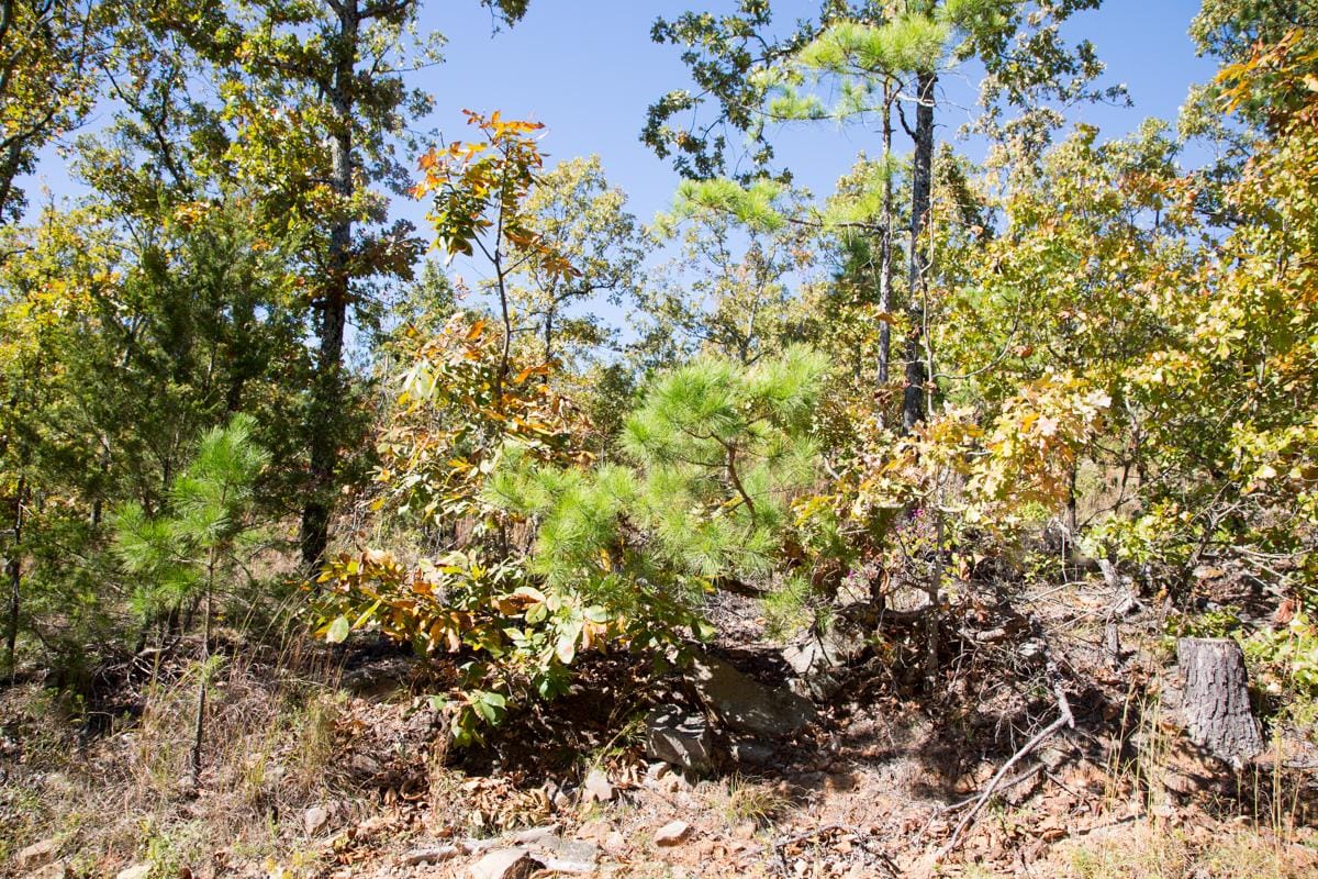Stone Creek Phase I Tract 165 photo 3