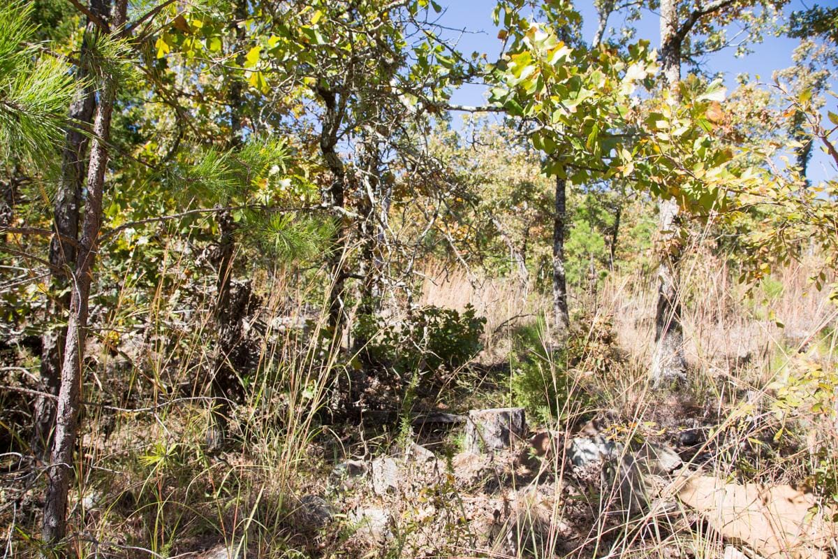 Stone Creek Phase I Tract 165 photo 5
