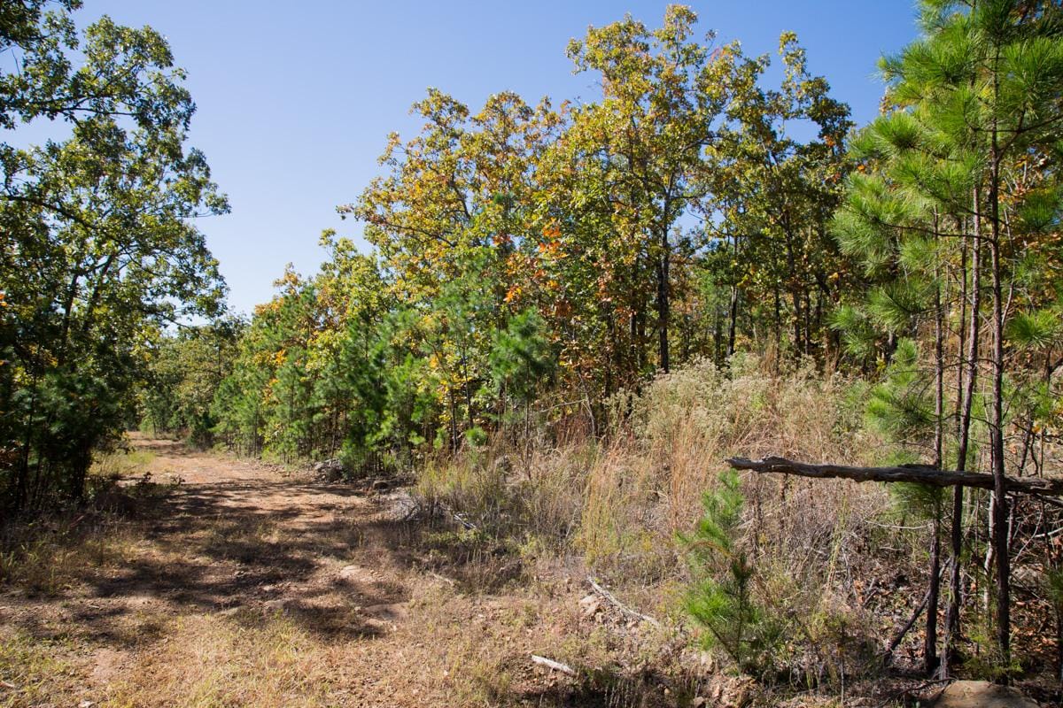 Stone Creek Phase I Tract 165 photo 7