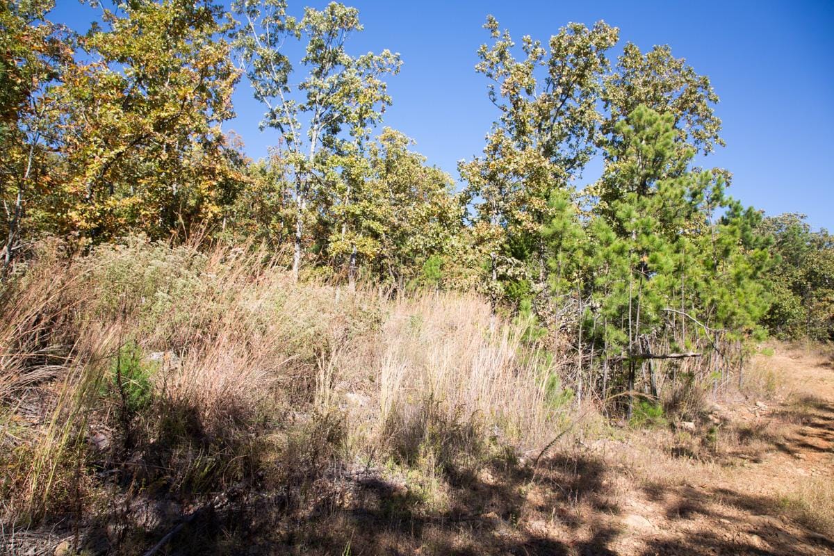 Stone Creek Phase I Tract 165 photo 8