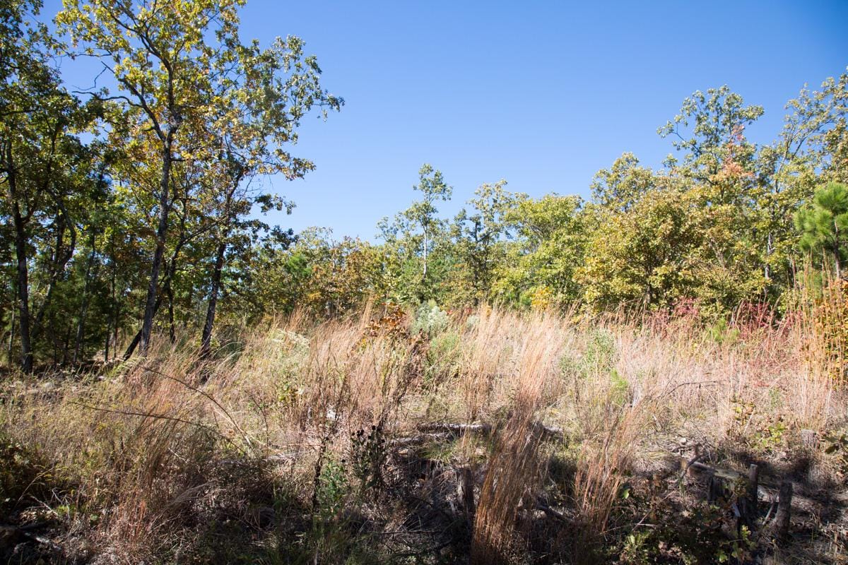 Stone Creek Phase I Tract 165 photo 12