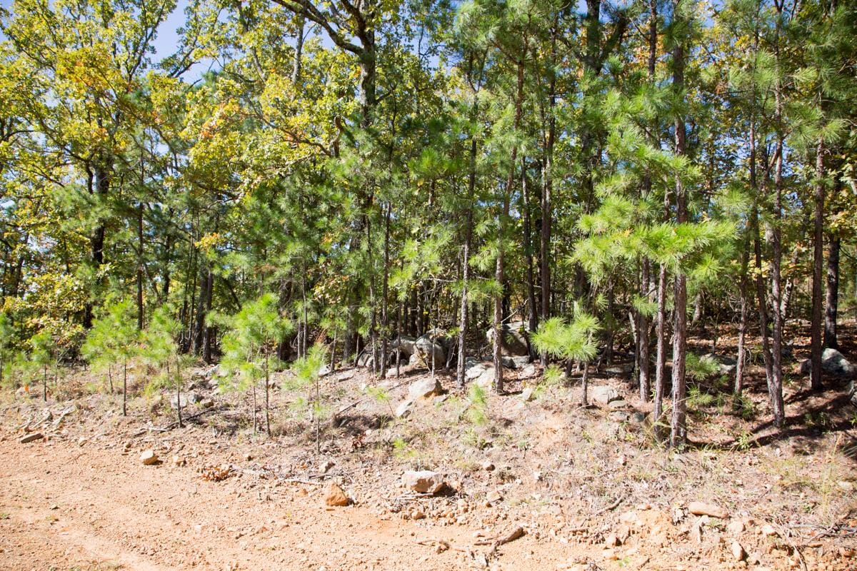 Stone Creek Phase I Tract 165 photo 14