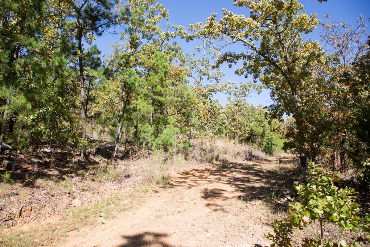Stone Creek Phase I Tract 165 photo 15
