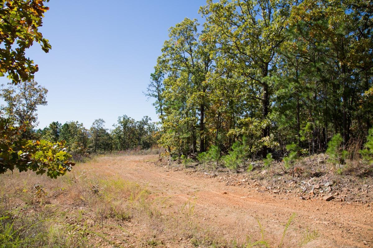 Stone Creek Phase I Tract 165 photo 17