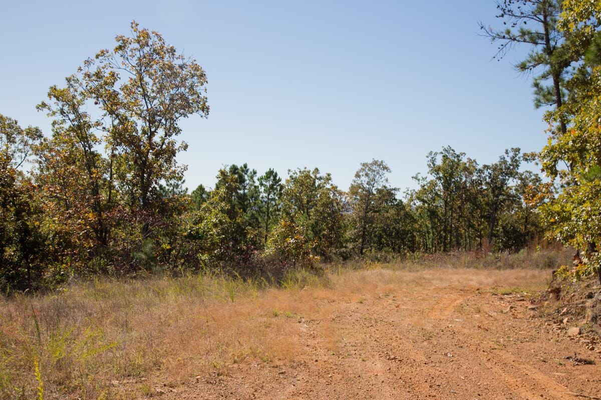 Stone Creek Phase I Tract 165 photo 18