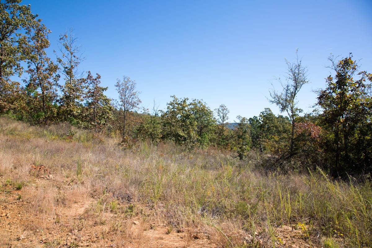 Stone Creek Phase I Tract 165 photo 19