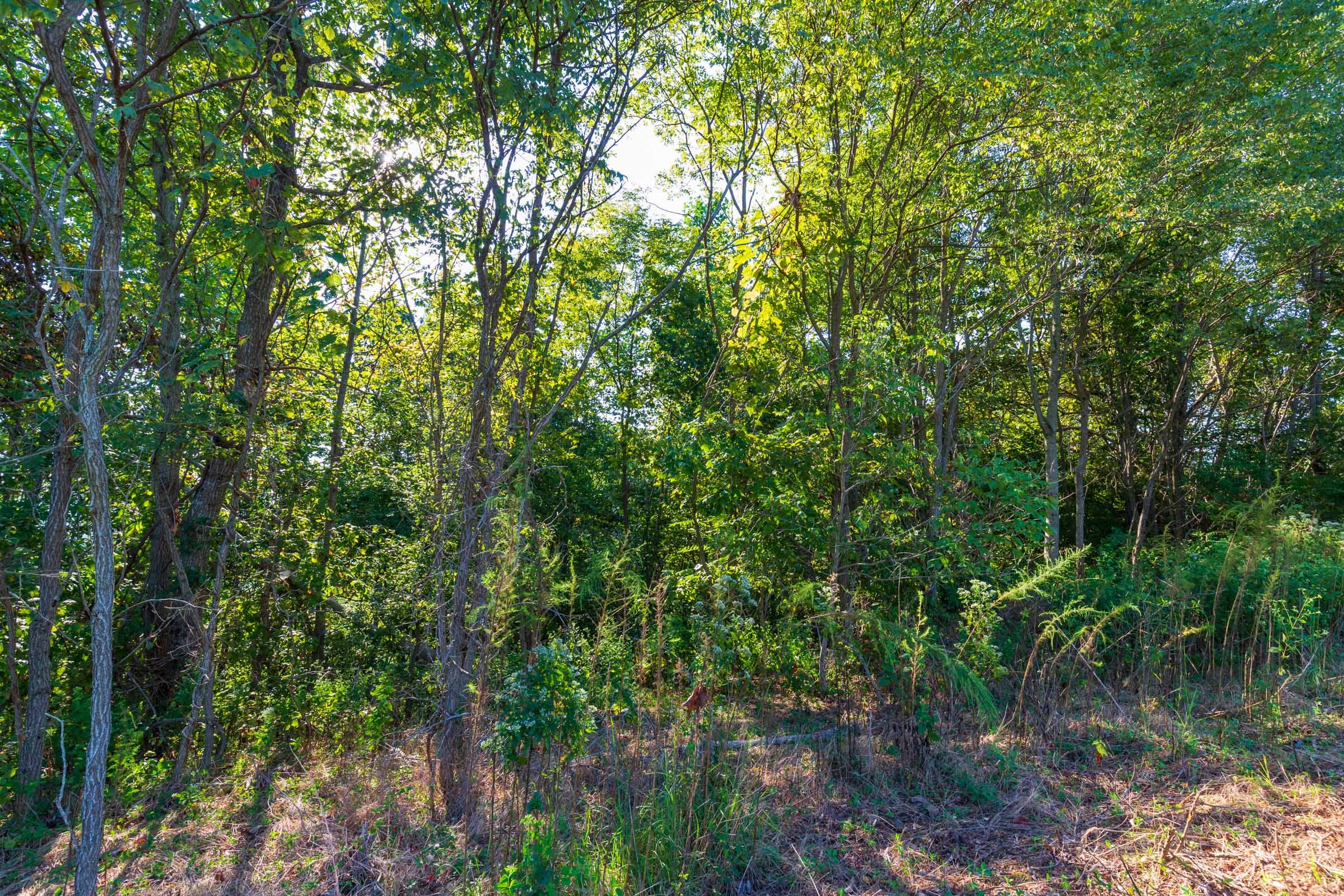 Redemption Ridge Tract 2 photo 3