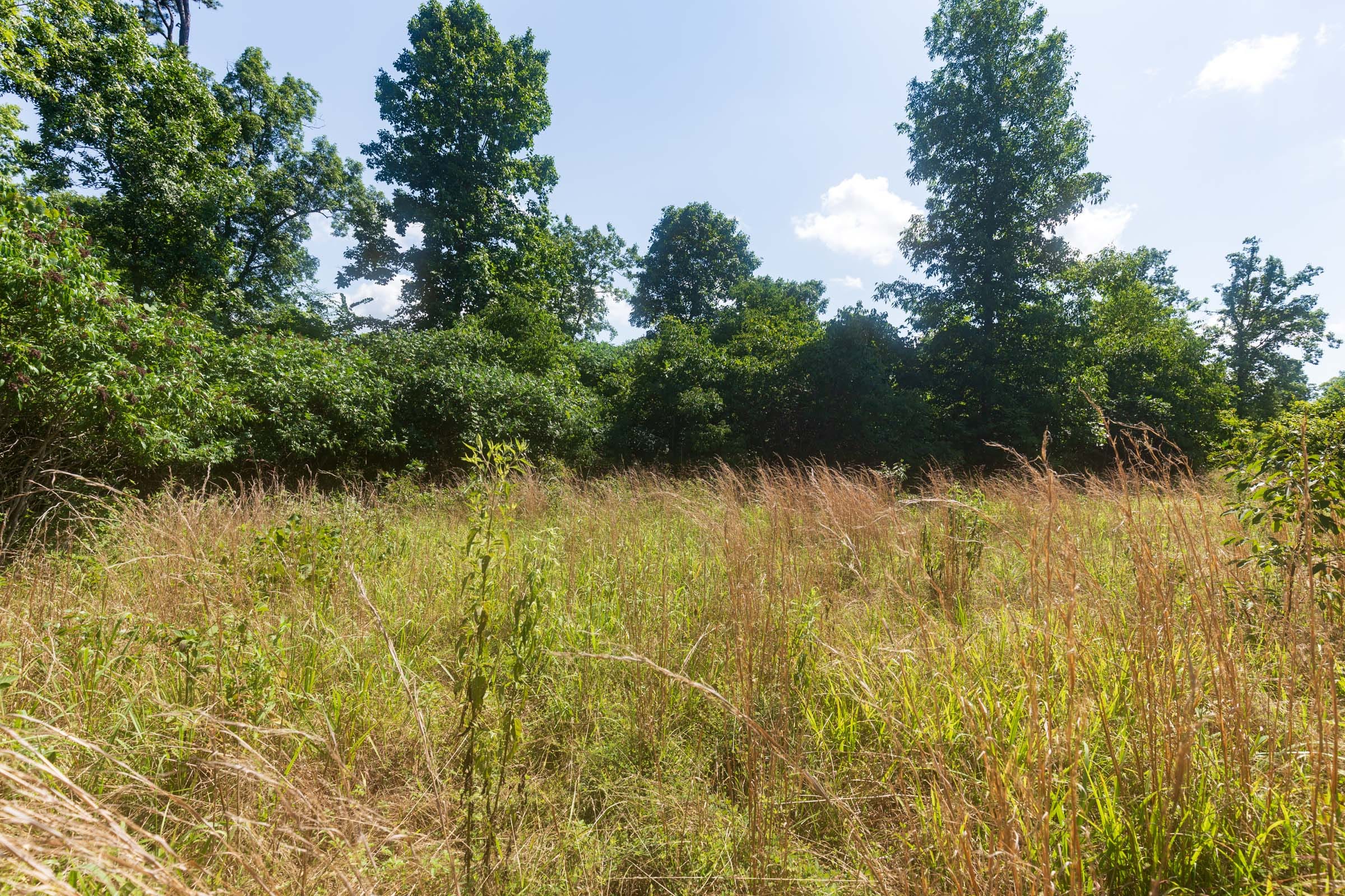 Cypress Ridge Tract 33 photo 2