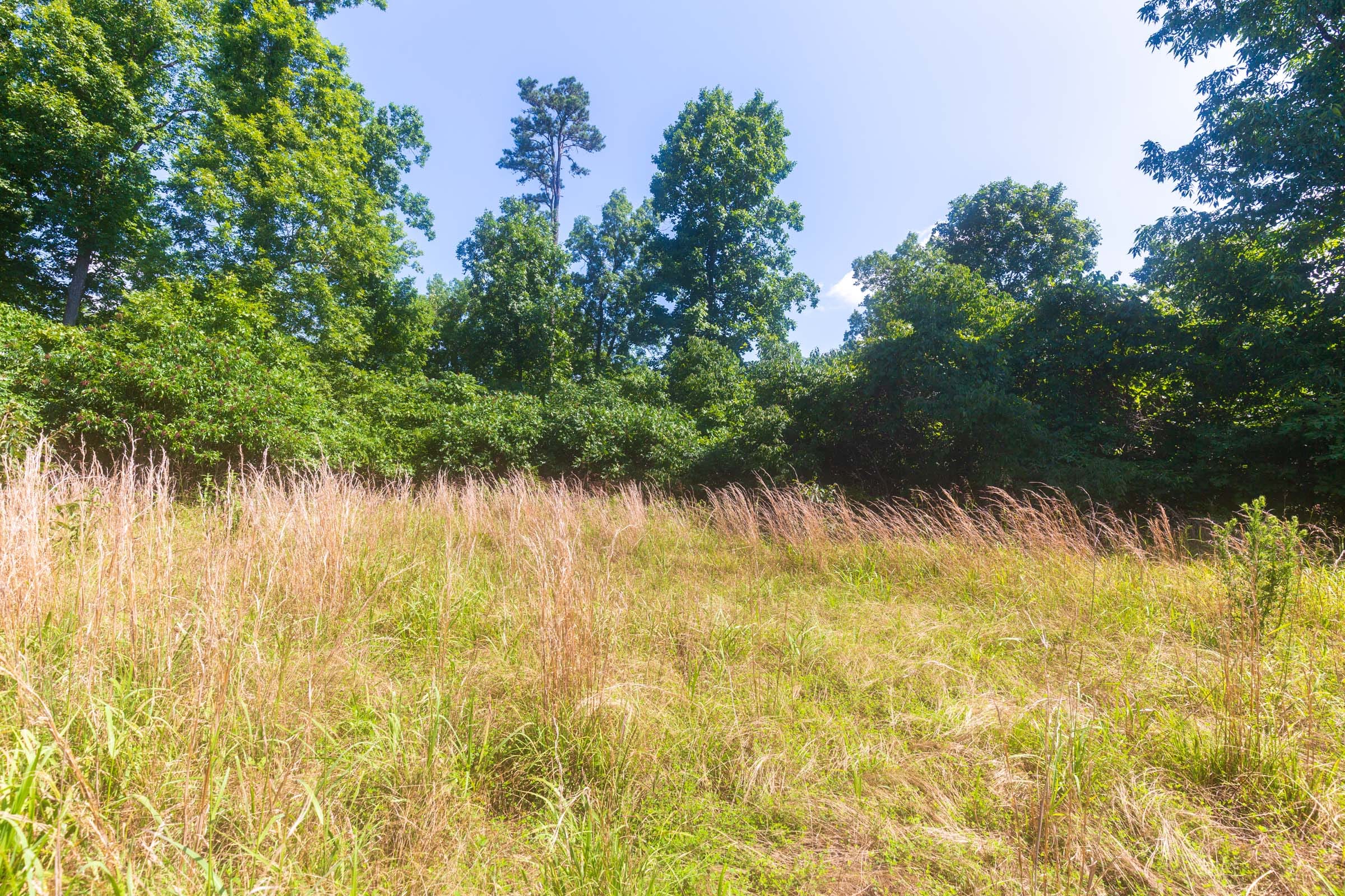 Cypress Ridge Tract 33 photo 3