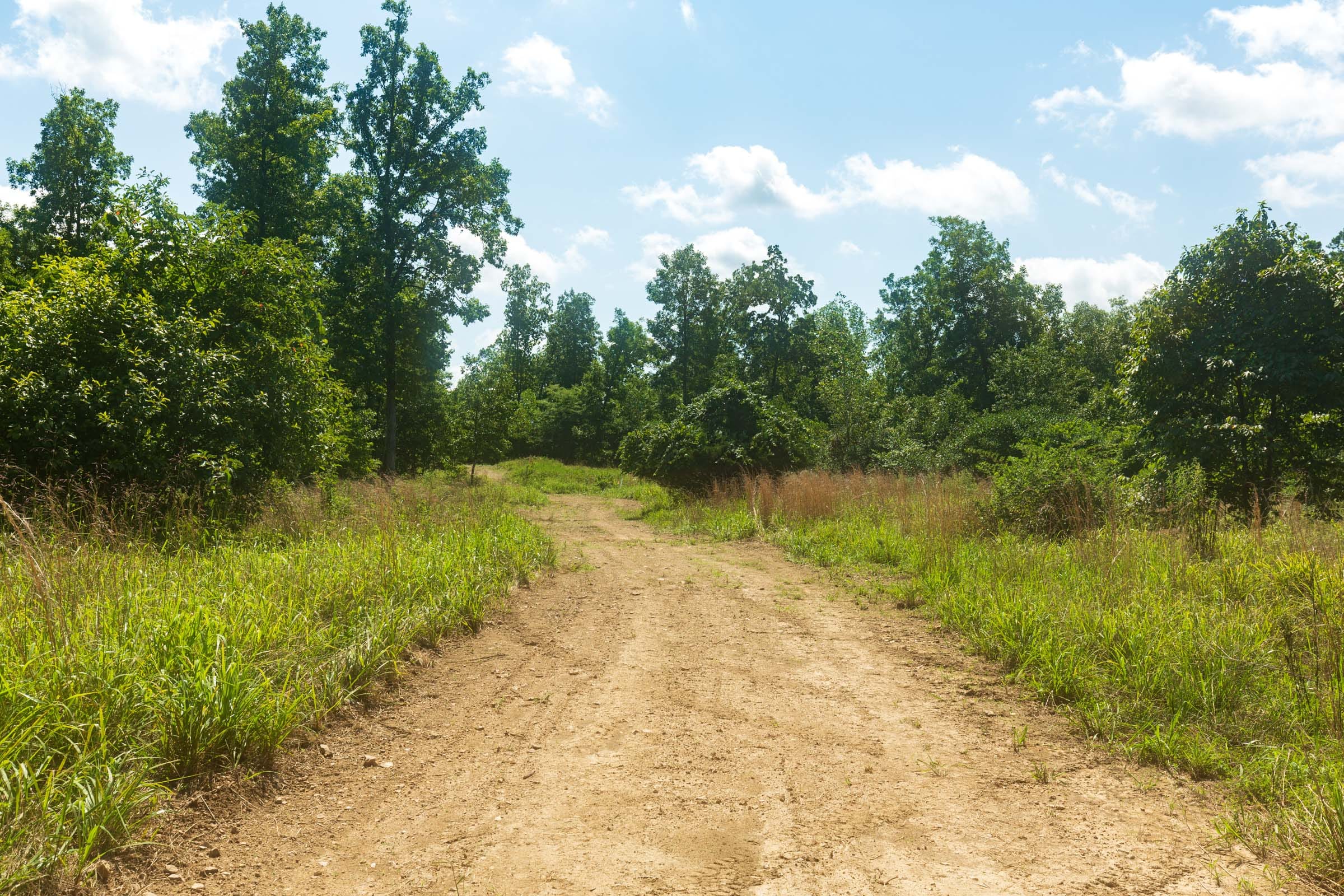 Cypress Ridge Tract 33 photo 4
