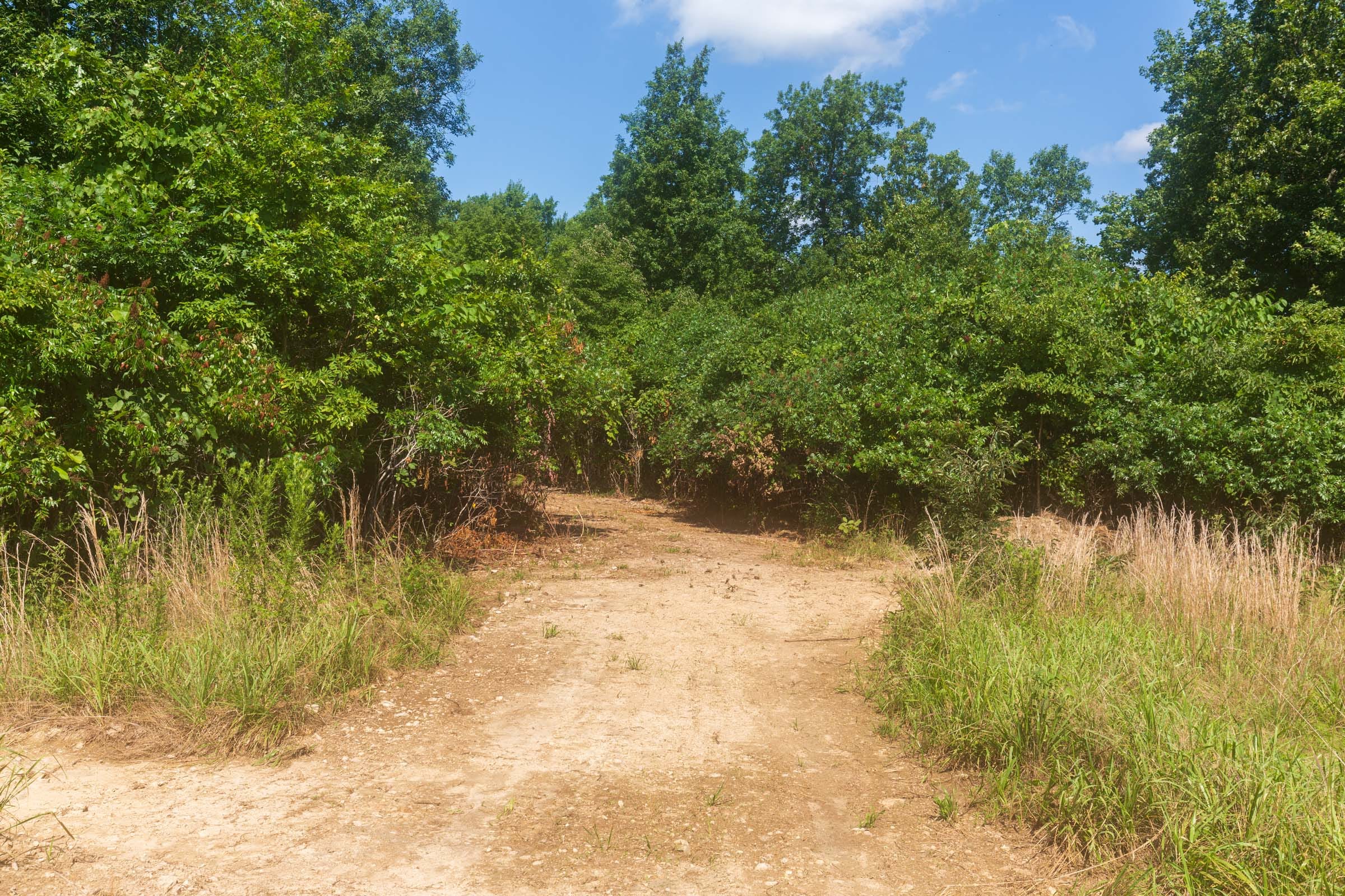 Cypress Ridge Tract 33 photo 5