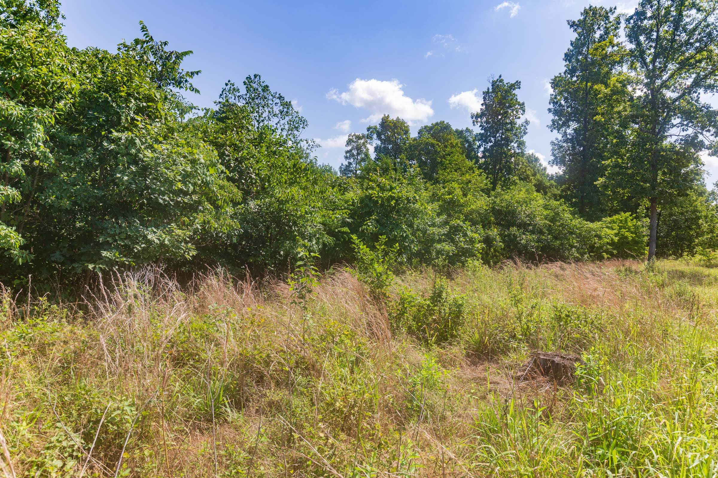 Cypress Ridge Tract 33 photo 6