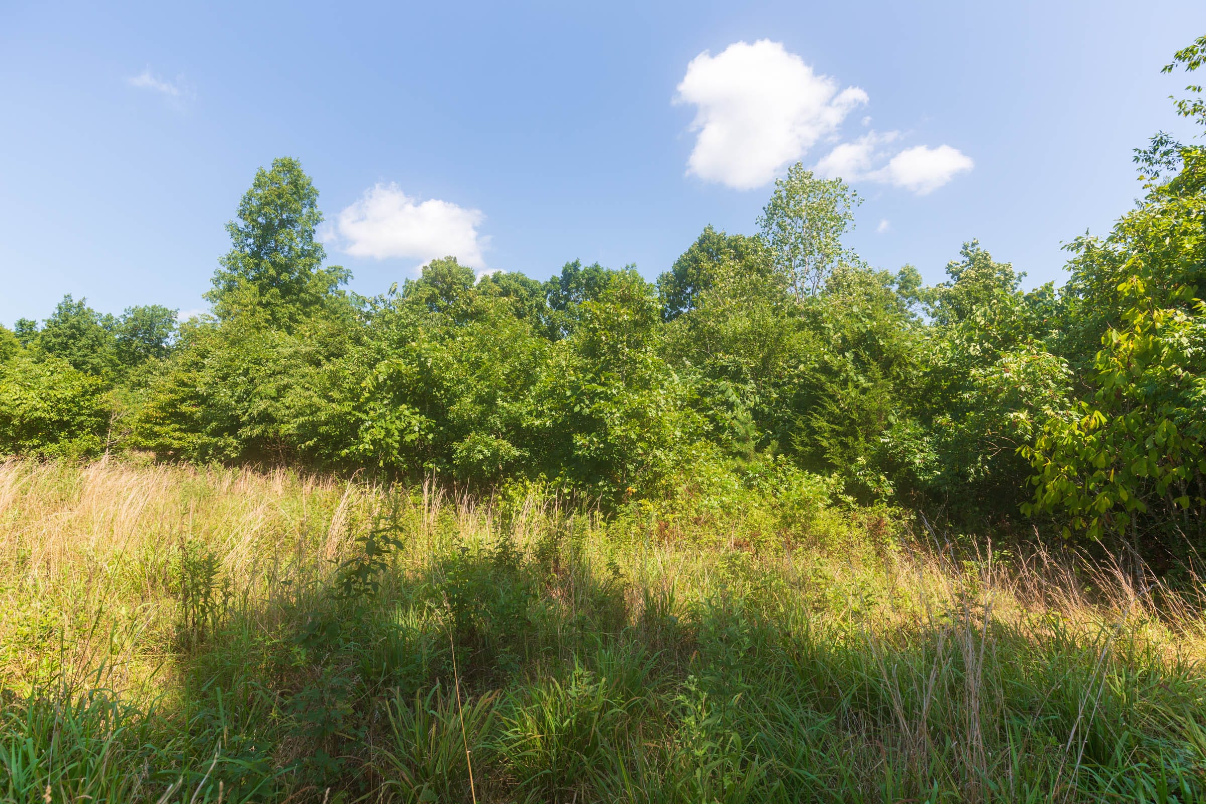 Cypress Ridge Tract 33 photo 8