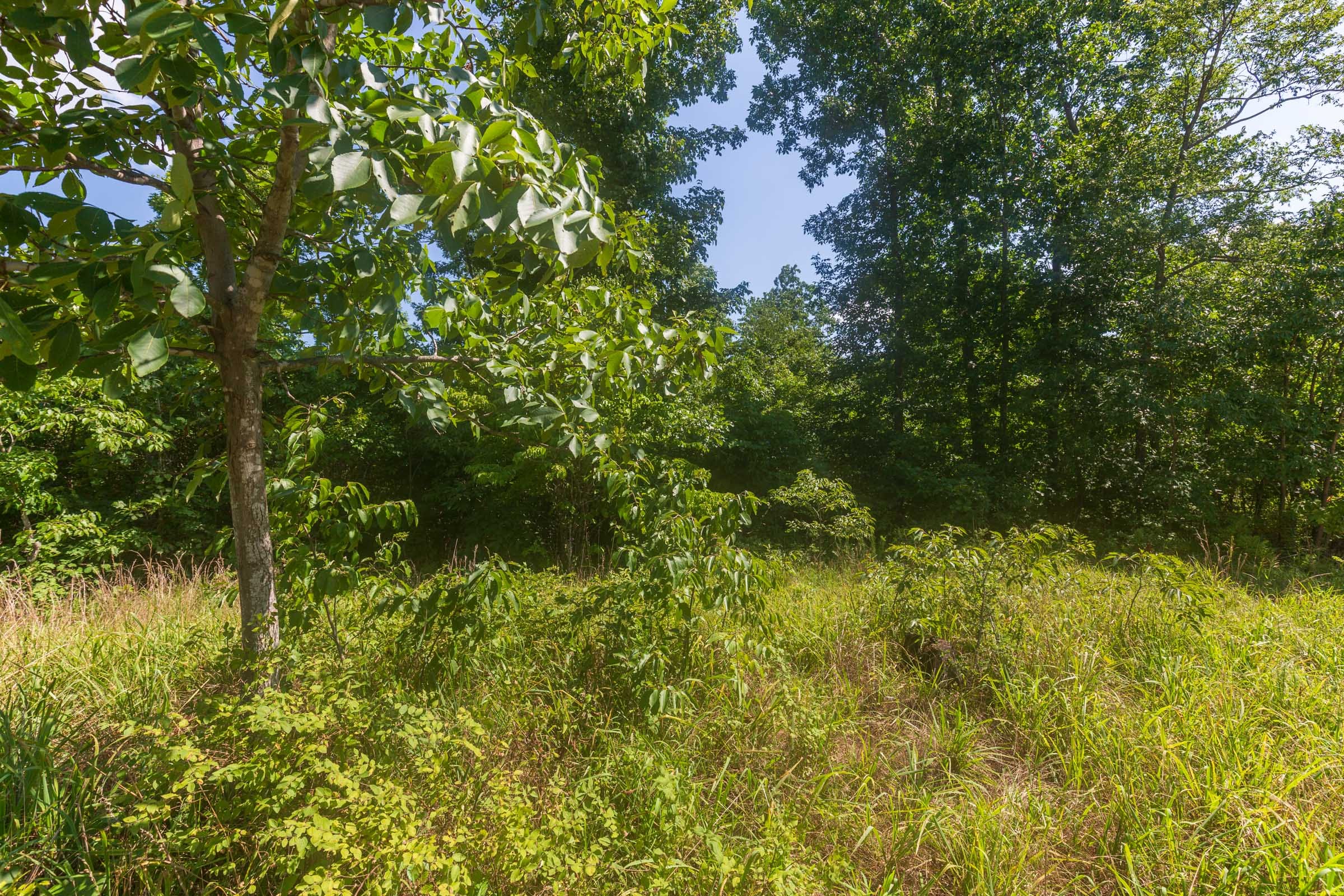 Cypress Ridge Tract 33 photo 9